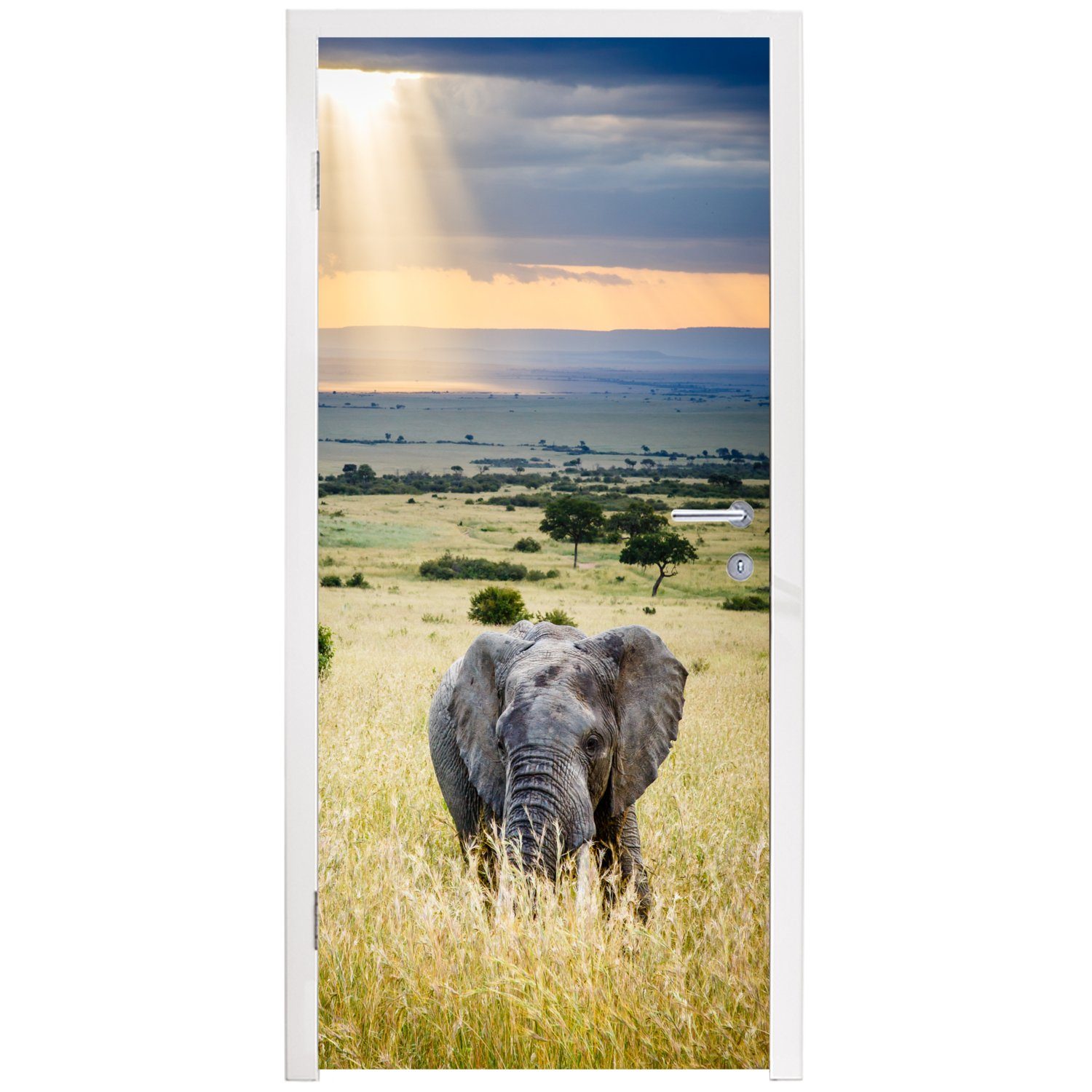 Tür, - Fototapete Tiere Landschaft 75x205 Sonne - - cm MuchoWow Matt, bedruckt, für Elefant Natur, Türtapete (1 St), Türaufkleber, -