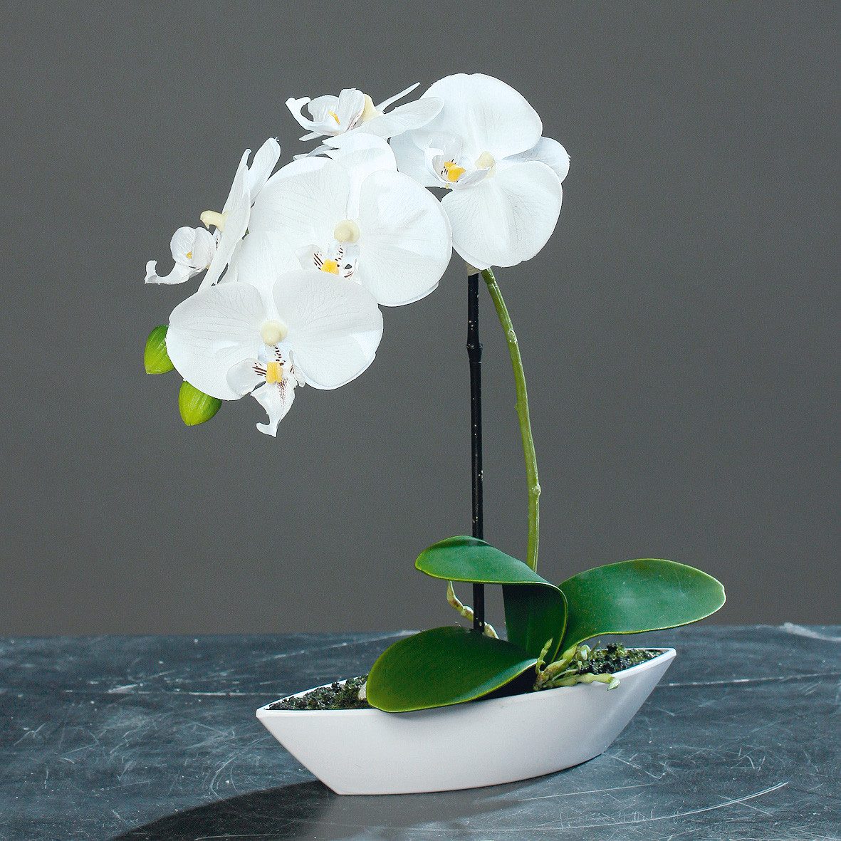 Kunstorchidee 30cm im Kunststoff-Schiffchen künstliche Orchidee, mucPlants