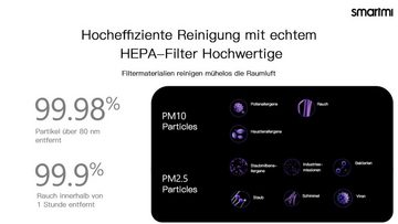 Xiaomi Luftreiniger, für 30 m² Räume, Smartmi Air Purifier P1, für 30 m² Räume, 250 m³/h CADR