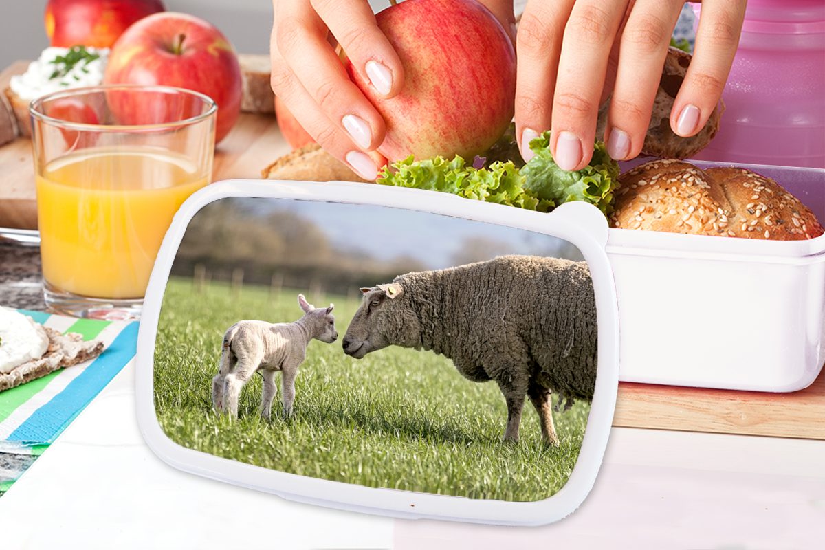 Brotdose, weiß Erwachsene, Schafe und - Kunststoff, Lunchbox Jungs MuchoWow Brotbox (2-tlg), Kinder Mädchen - für für Gras und Lamm,