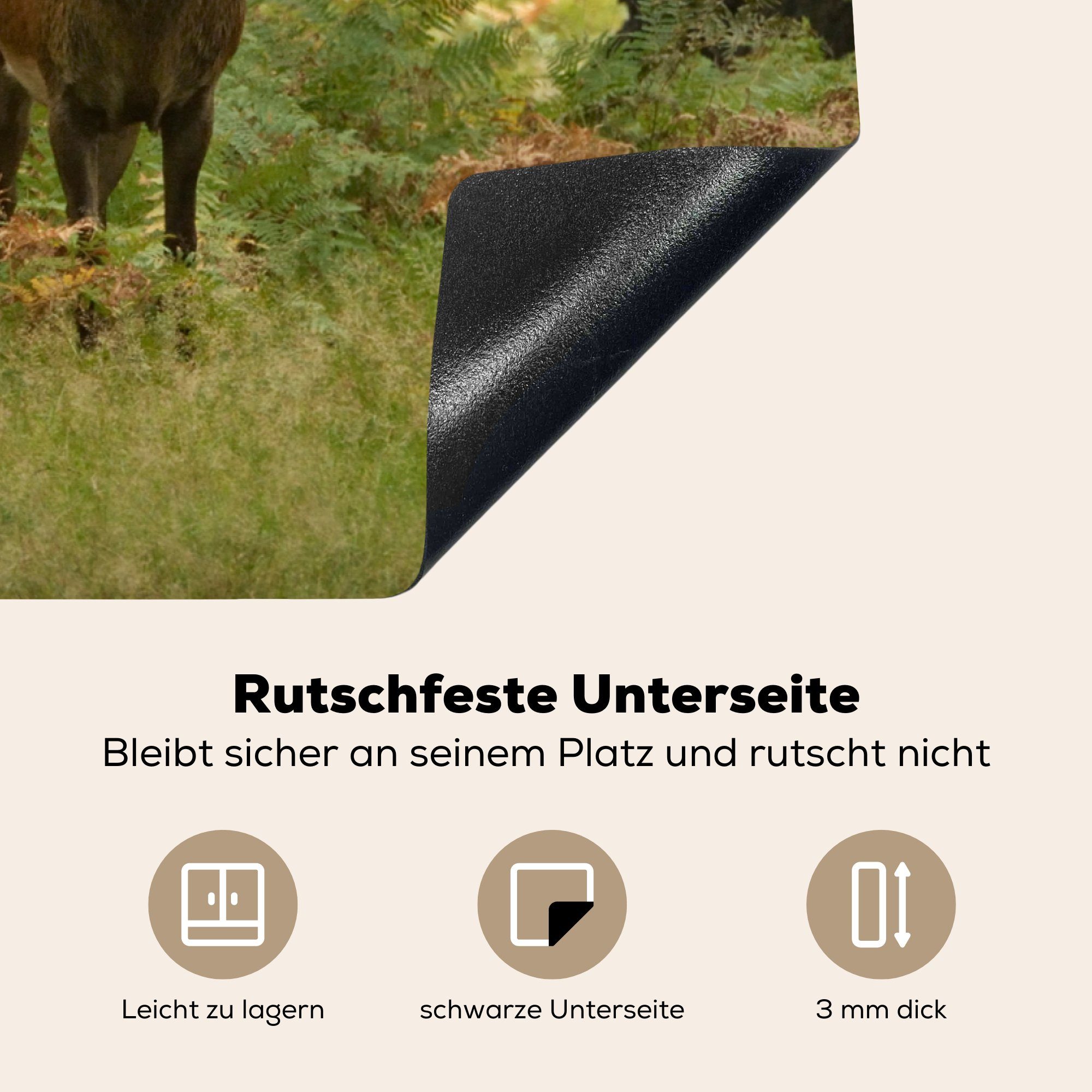 Grün, MuchoWow die Induktionskochfeld cm, 81x52 Vinyl, - - Schutz Natur für Rothirsch (1 Ceranfeldabdeckung tlg), Herdblende-/Abdeckplatte küche,