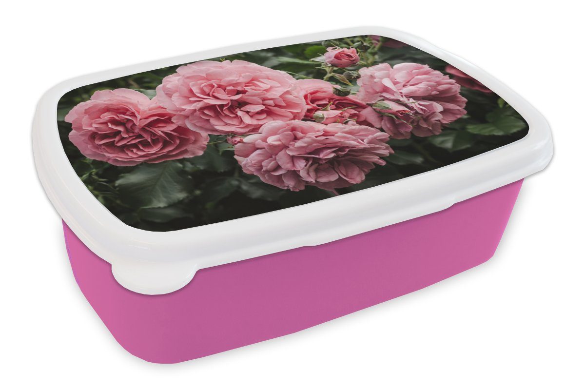 MuchoWow Lunchbox Rosa - Blumen - Rosen, Kunststoff, (2-tlg), Brotbox für Erwachsene, Brotdose Kinder, Snackbox, Mädchen, Kunststoff