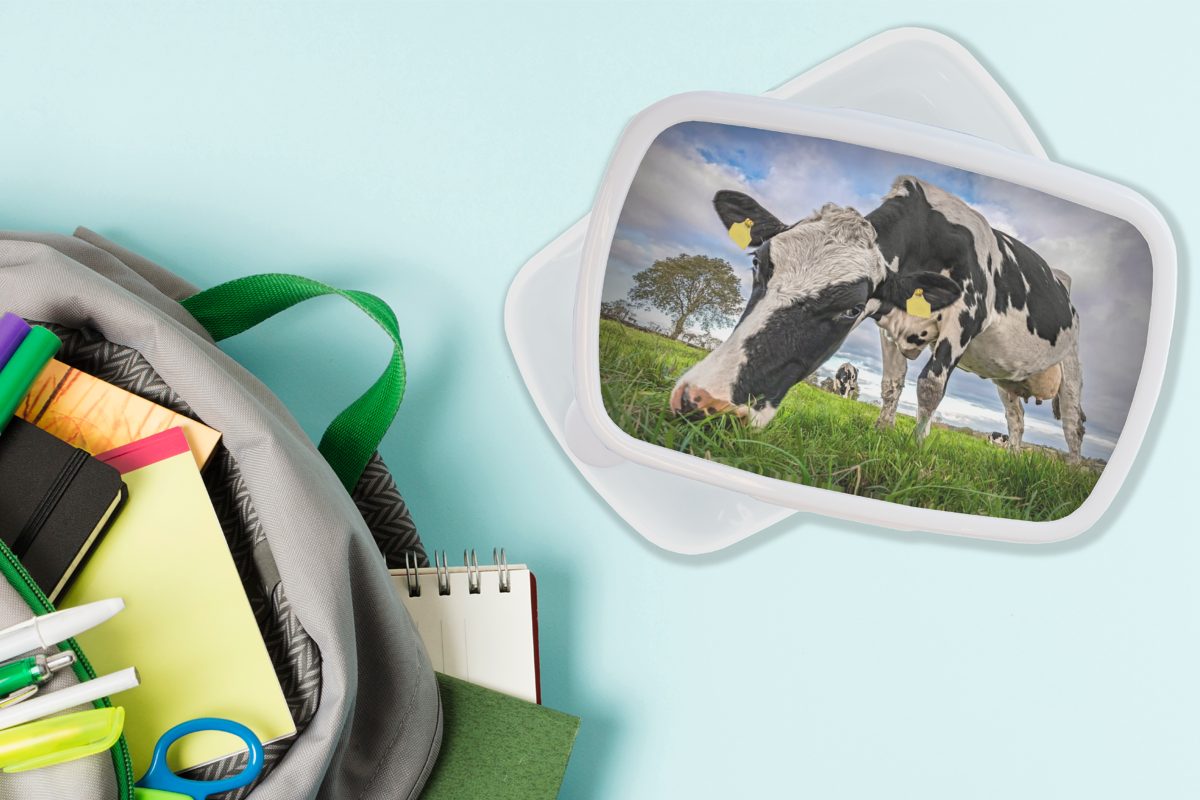 MuchoWow Lunchbox Kühe - Tags Brotbox Kunststoff, und Kinder weiß Brotdose, - für Mädchen für und Tiere, Erwachsene, Jungs (2-tlg)