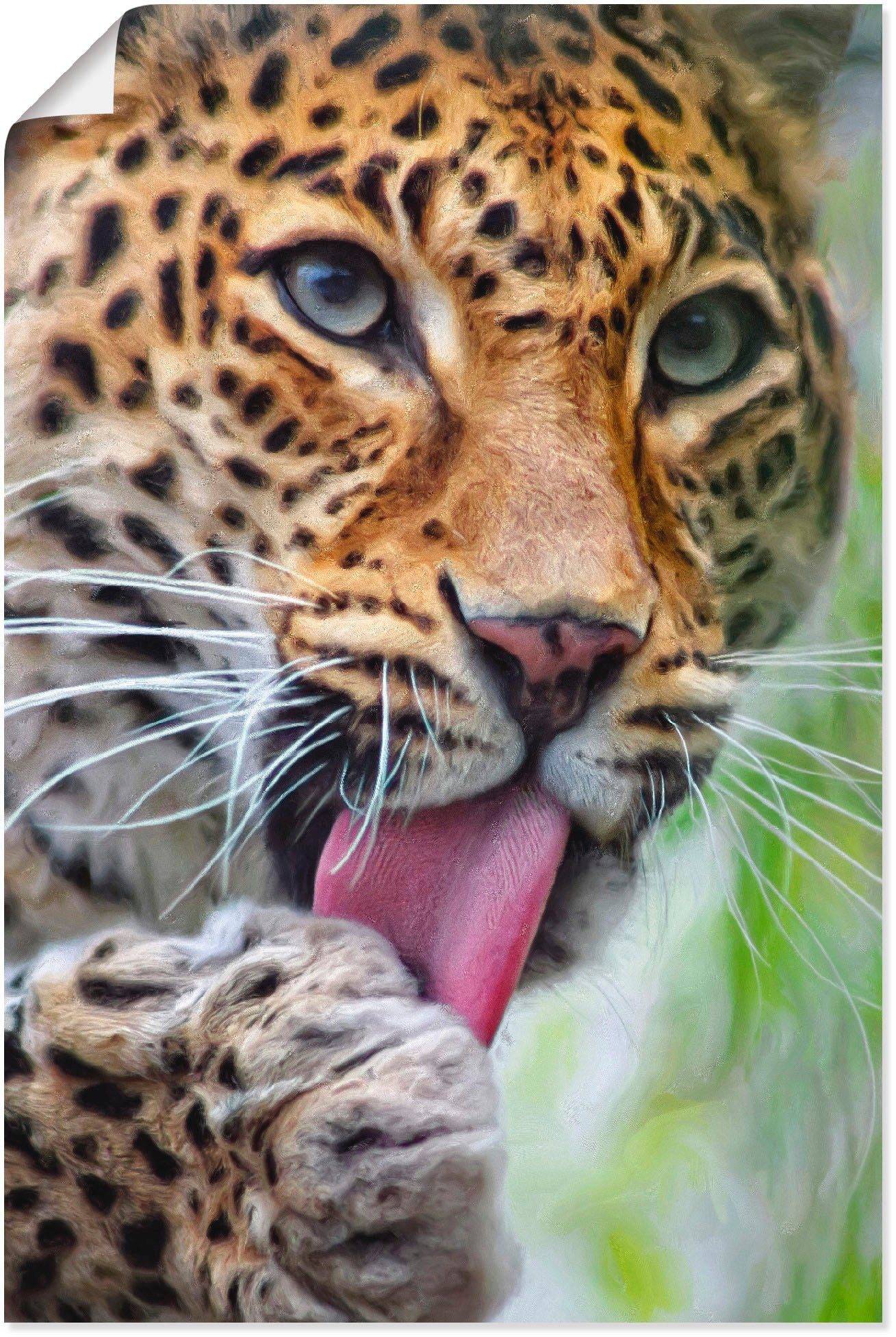 Wandbild Alubild, Leopard, Wildtiere Größen Wandaufkleber Leinwandbild, (1 oder versch. in Artland als Poster St),