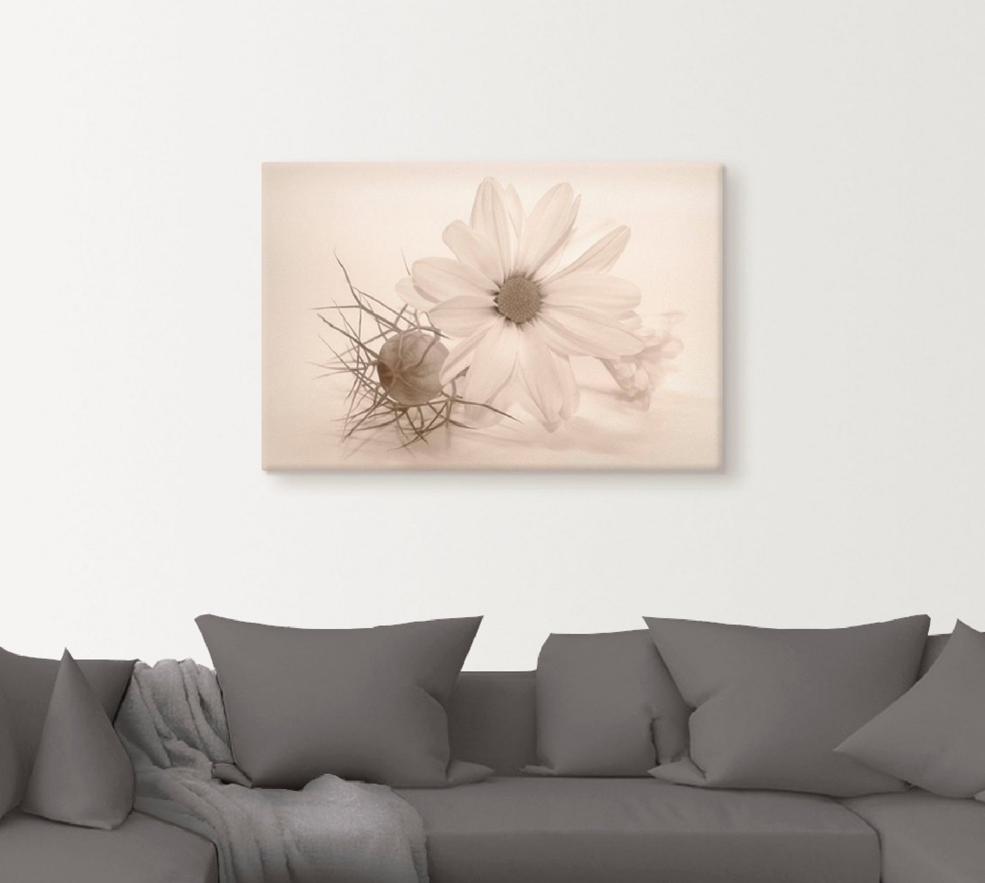 Artland Wandbild »Chrysantheme«, Blumen (1 Stück), in vielen Größen & Produktarten - Alubild / Outdoorbild für den Außenbereich, Leinwandbild, Poster, Wandaufkleber / Wandtattoo auch für Badezimmer geeignet-kaufen