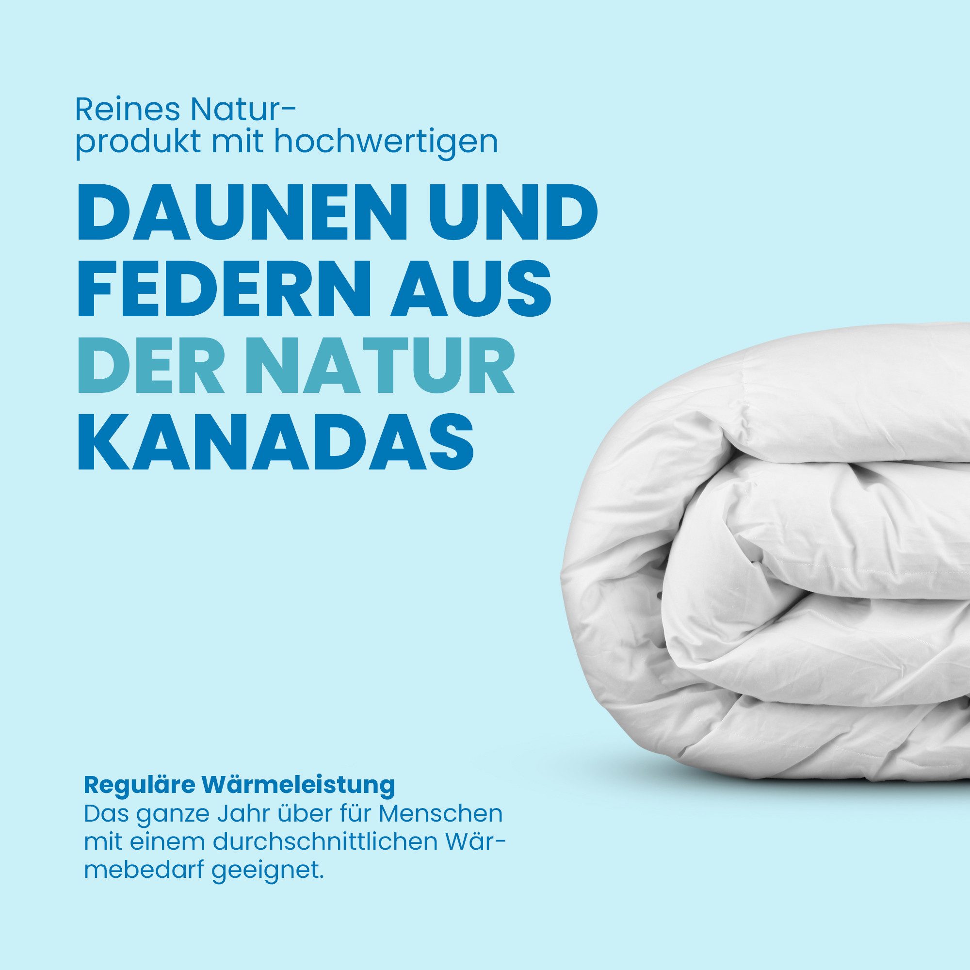 Bestlivings Federbettdecke 135x200 cm für den Winter, Füllung: 10% Daunen, 90% Federn, Bezug: ohne Kopfkissen, Wärmeklasse: warm, waschbar bei 40°C, trocknergeeignet, hautfreundlich