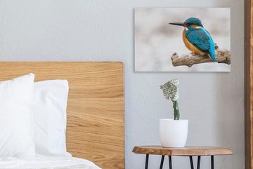 OneMillionCanvasses® Leinwandbild Eisvogel - Winter - Zweige, (1 St), Wandbild Leinwandbilder, Aufhängefertig, Wanddeko, 30x20 cm