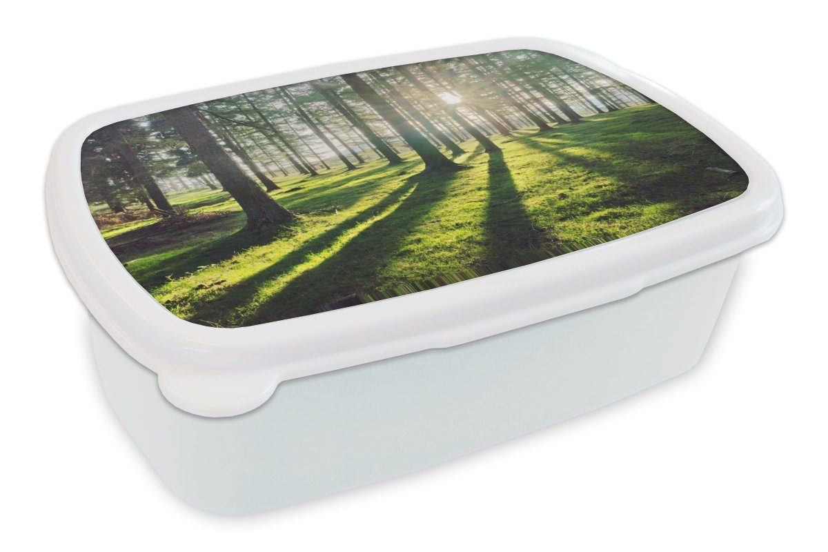 MuchoWow Lunchbox Bäume - Natur - Wald, Kunststoff, (2-tlg), Brotbox für Kinder und Erwachsene, Brotdose, für Jungs und Mädchen weiß