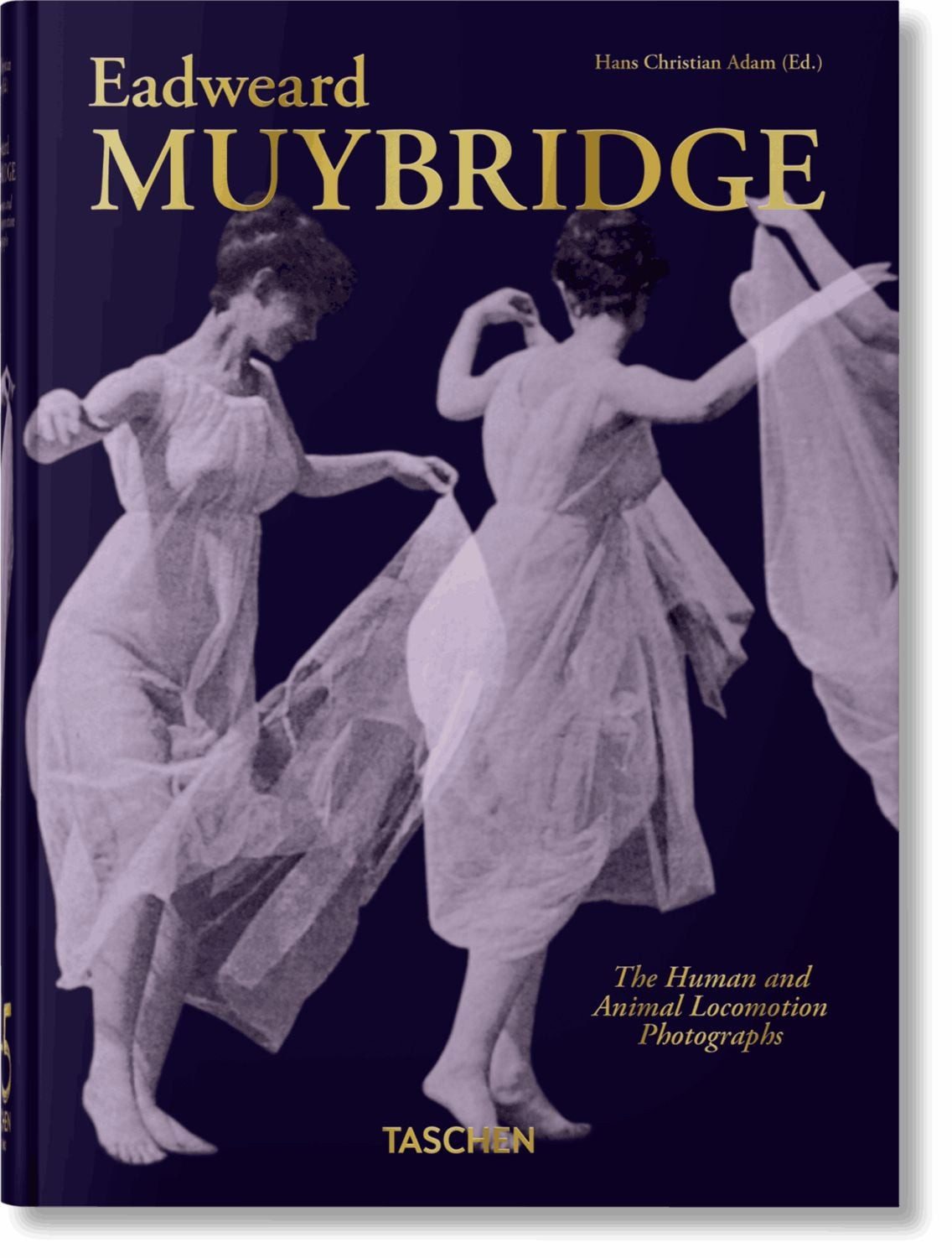 Muybridge / diverse