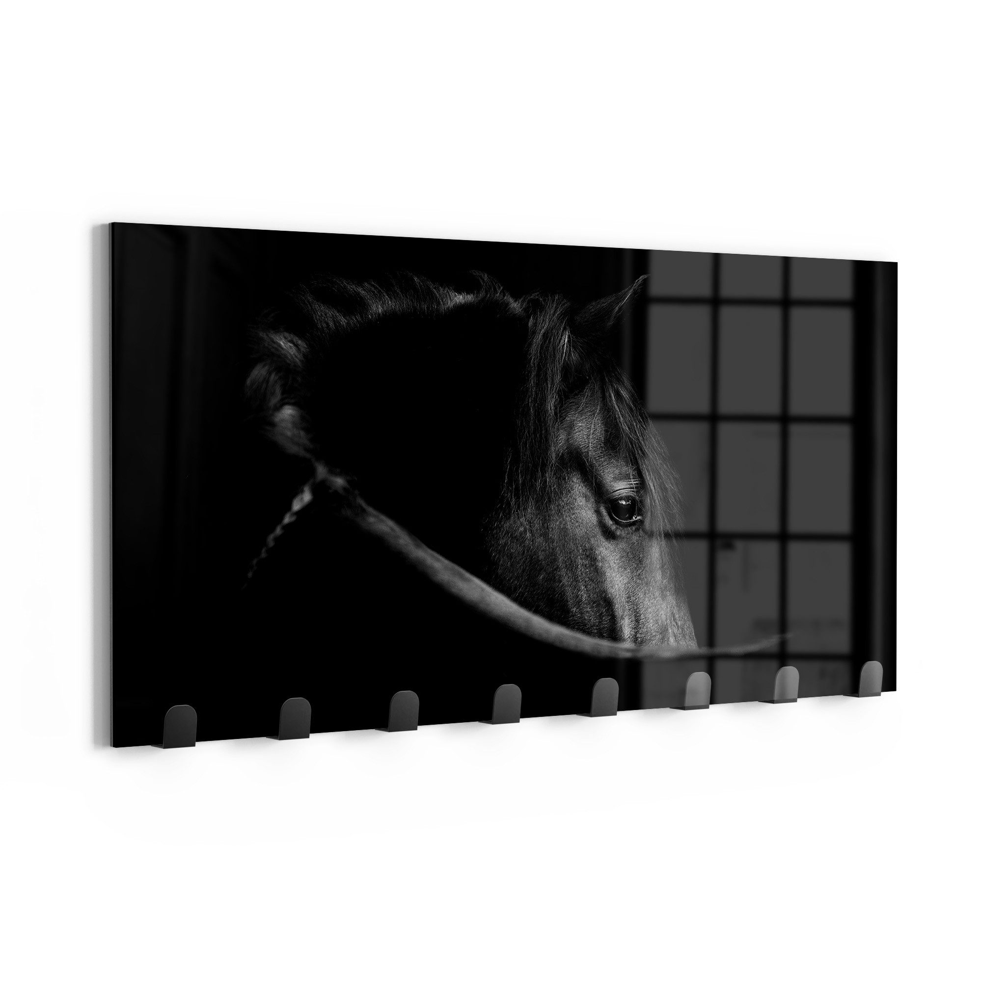 DEQORI Kleiderhaken 'Schönes Pferd im Profil', Glas Garderobe Paneel magnetisch beschreibbar