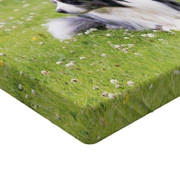 Spannbettlaken Soft Dekorativer Stoff Bettwäsche Rund-um Elastischer Gummizug, Abakuhaus, Englisch Sheepdog Bobtail Bild
