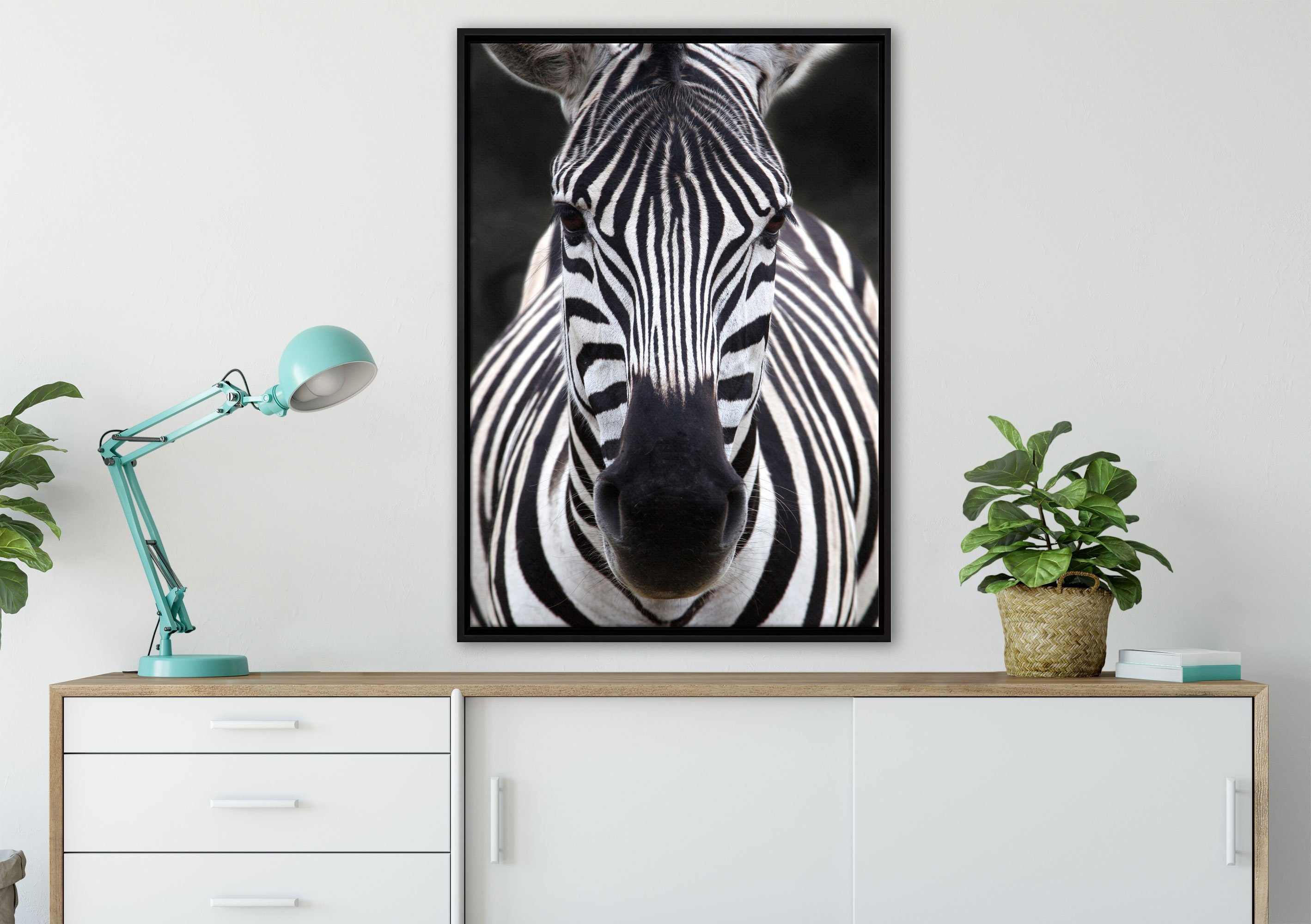 Zackenaufhänger St), Pixxprint bespannt, (1 Leinwandbild einem Wanddekoration Schattenfugen-Bilderrahmen Zebra fertig Leinwandbild gefasst, in inkl. Porträt,