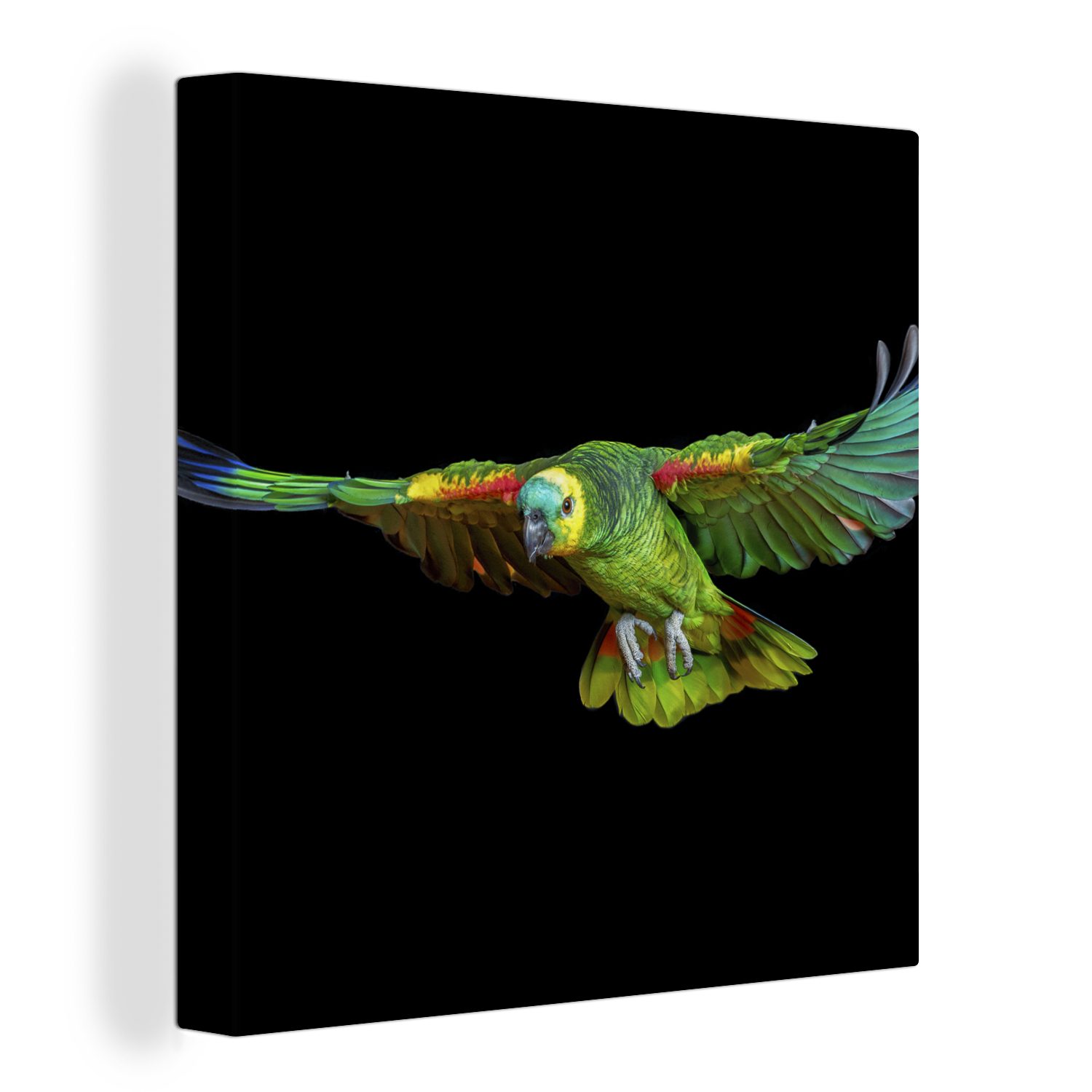 OneMillionCanvasses® Leinwandbild Papagei Wohnzimmer Schlafzimmer - - St), Bilder Leinwand für Vogel Federn, (1