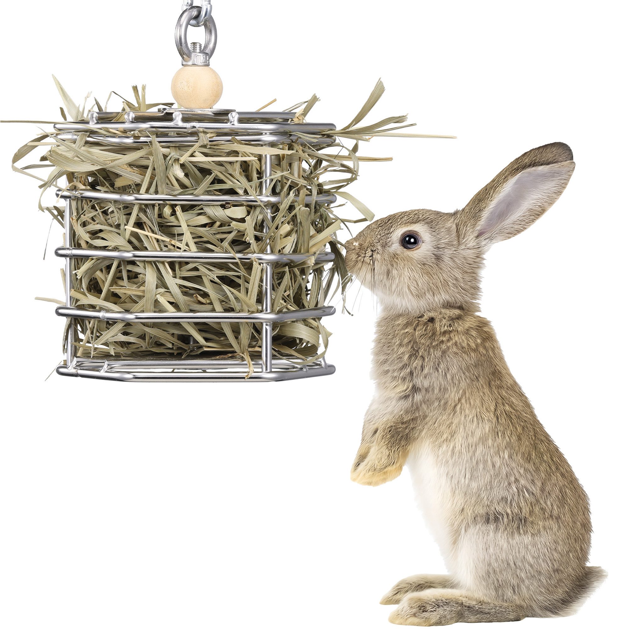 Navaris Napf Heuraufe Kaninchen und Meerschweinchen Heuraufe für Meerschweinchen, Кормraufe für kleine Haustiere aus Edelstahl Heu Кормspender