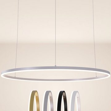 s.luce Pendelleuchte LED Pendelleuchte Ring 120 5m Abhängung Weiß, Warmweiß
