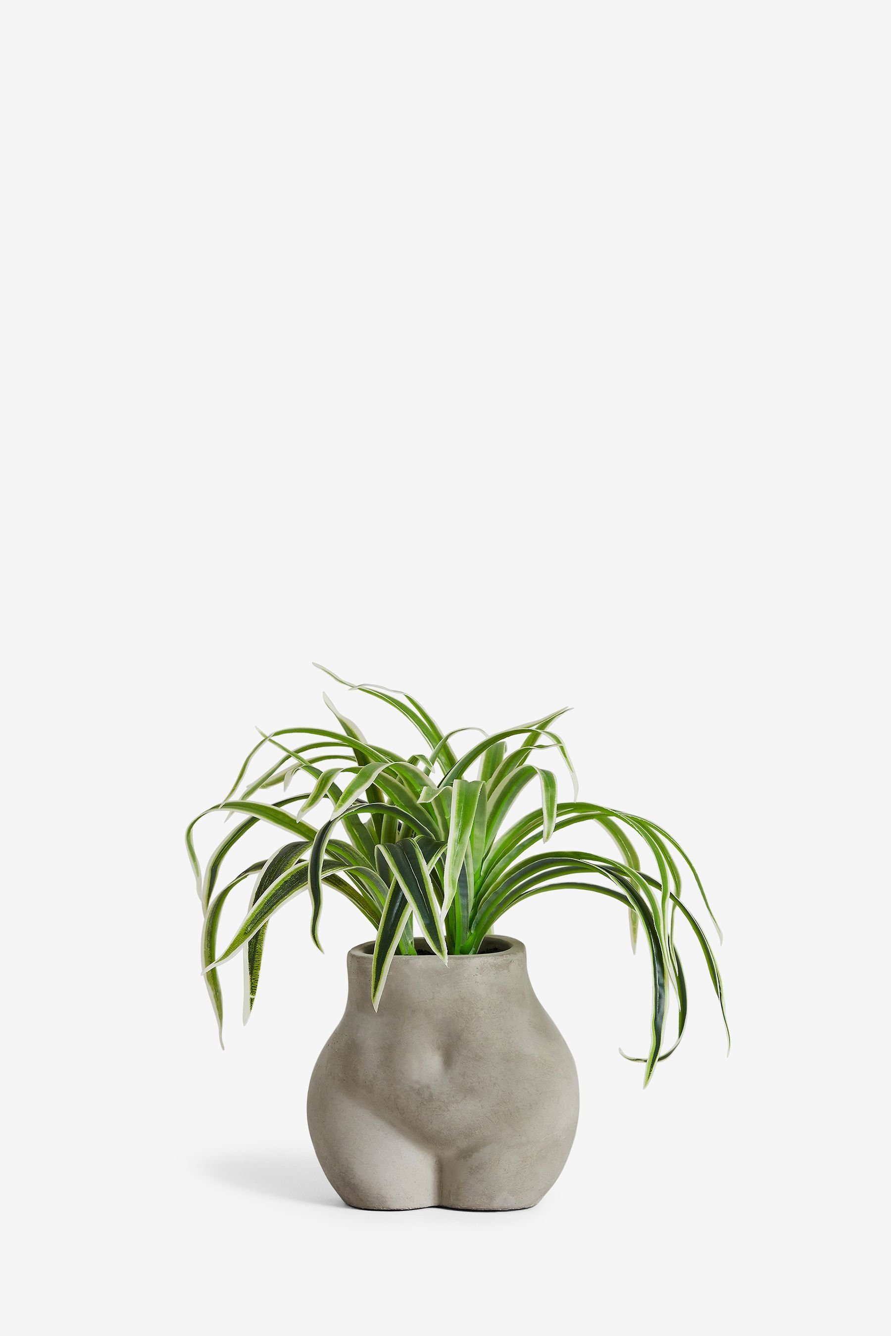 in Next Beton-Optik-Topf, Chlorophytum-Kunstblume einem Kunstpflanze