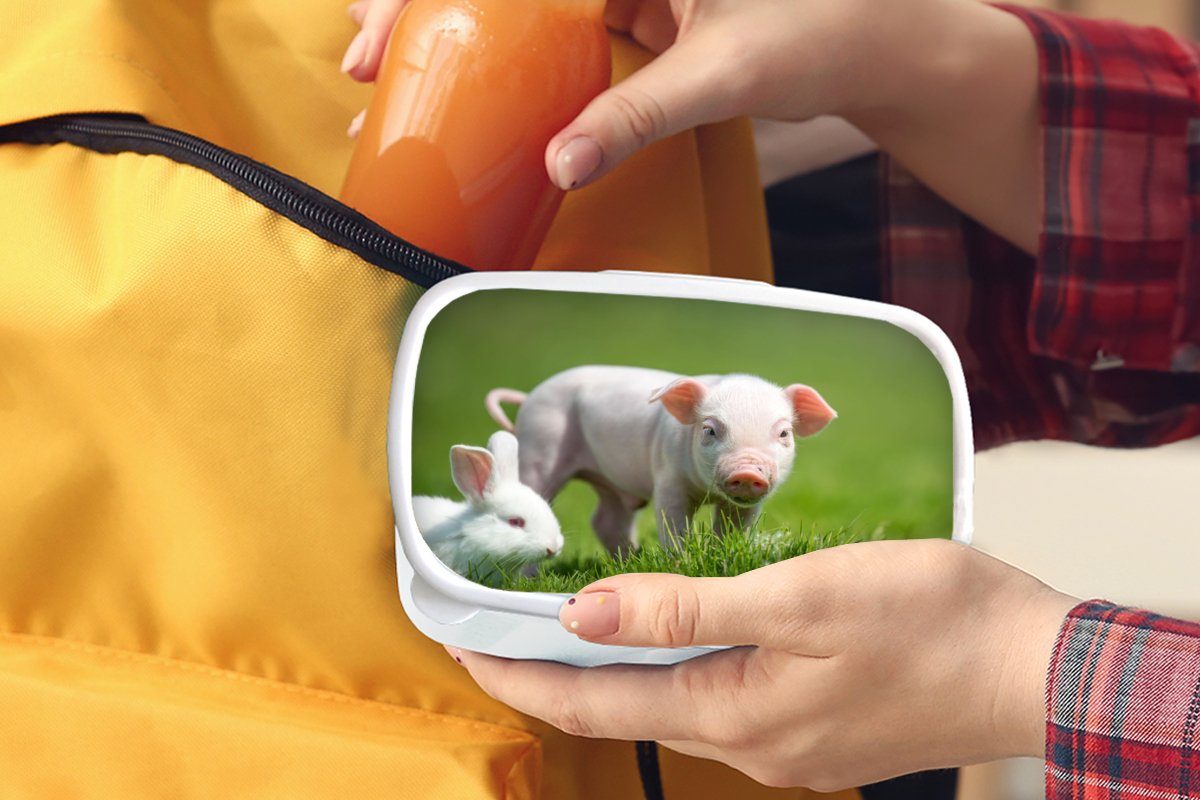 Brotbox Jungs Tiere, - MuchoWow Mädchen (2-tlg), Lunchbox weiß Erwachsene, Kaninchen für Brotdose, Ferkel Kinder und für - Kunststoff, und