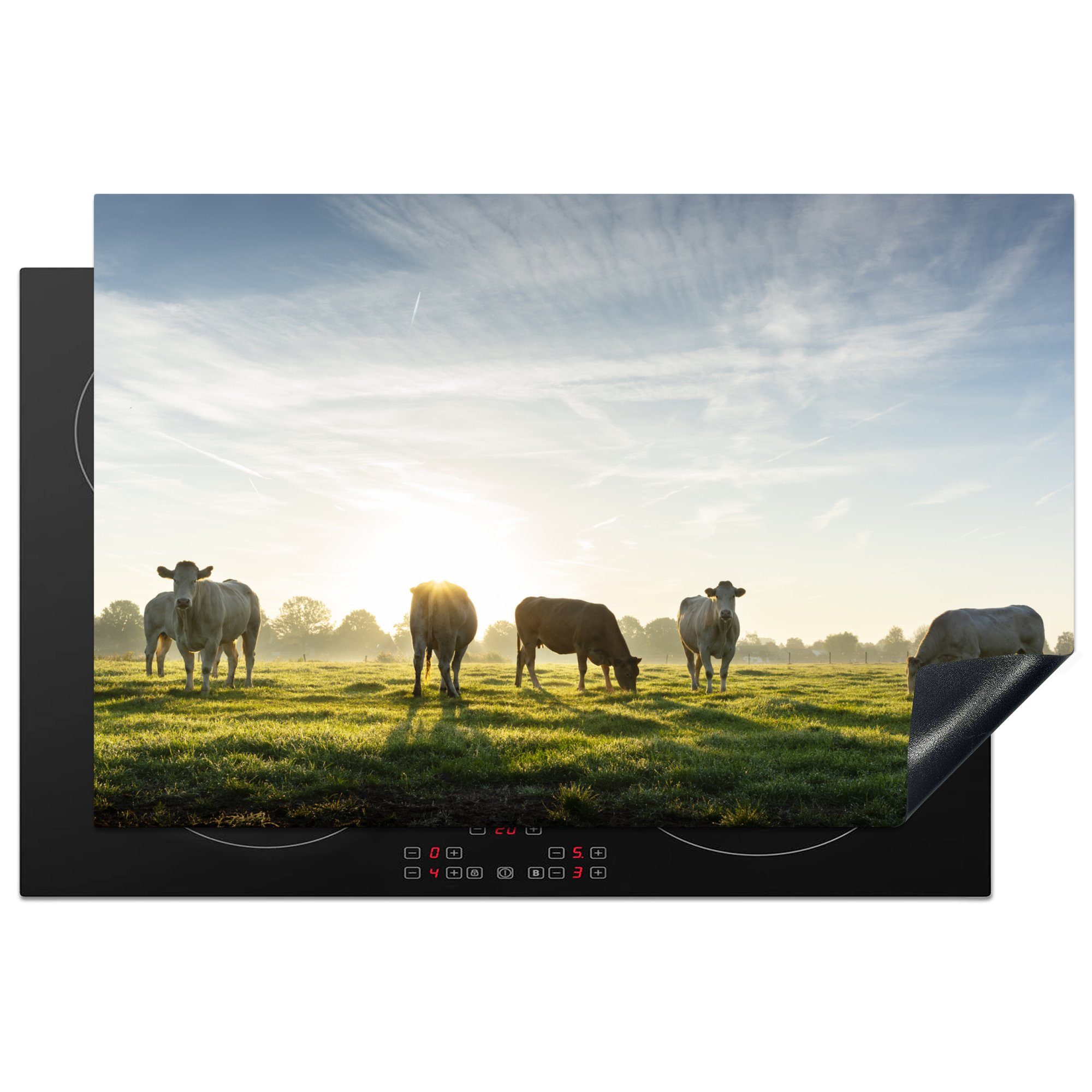 MuchoWow Herdblende-/Abdeckplatte Kühe - Sonne - Gras, Vinyl, (1 tlg), 81x52 cm, Induktionskochfeld Schutz für die küche, Ceranfeldabdeckung