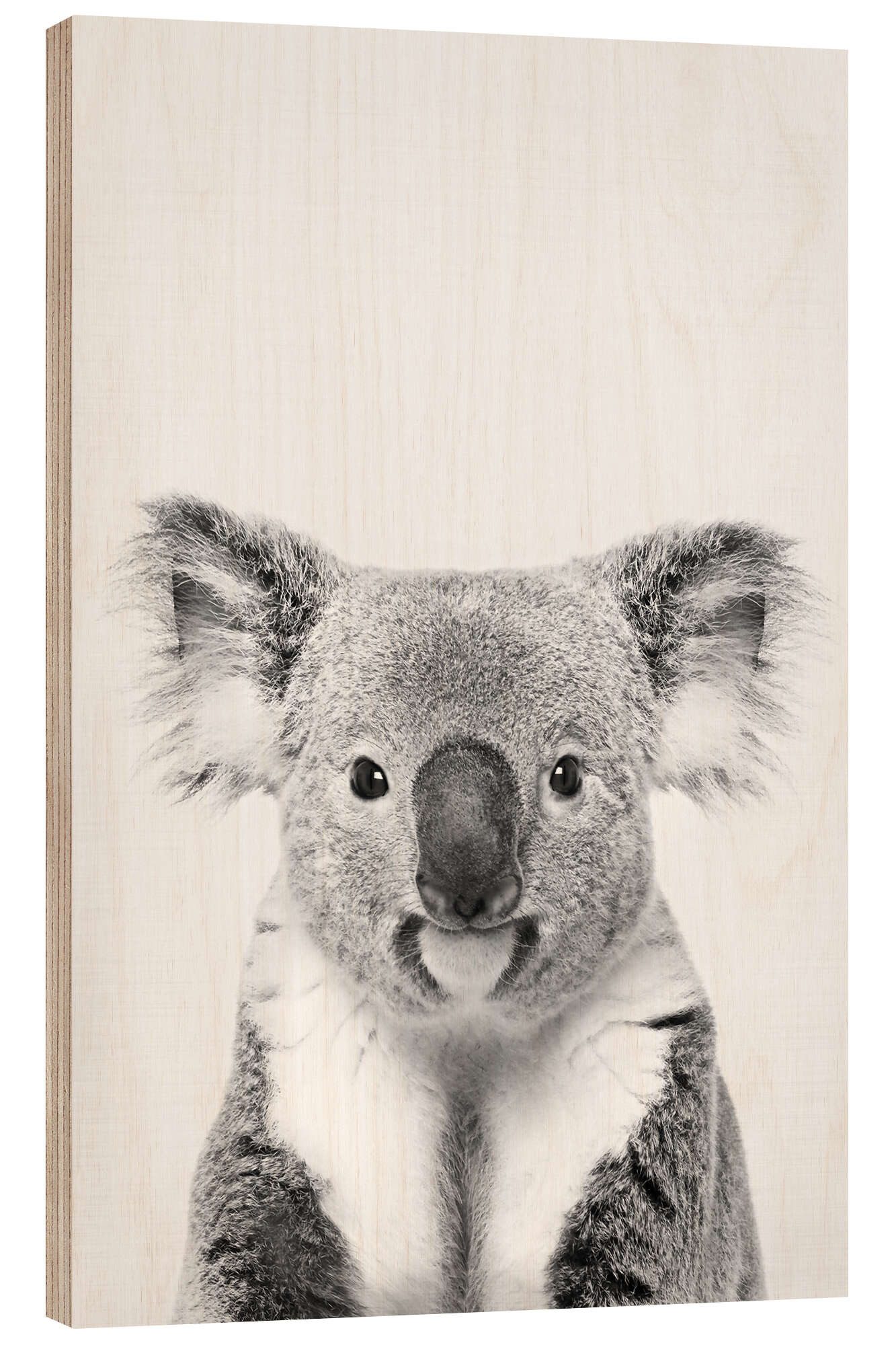 Posterlounge Wandbild Freundlicher Koala, Sisi And Seb, erhältlich als Poster, Leinwandbild, Wandsticker oder Acrylglasbild