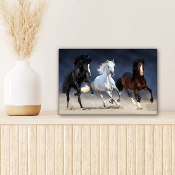 OneMillionCanvasses® Leinwandbild Pferde - Tiere - Sand, (1 St), Wandbild Leinwandbilder, Aufhängefertig, Wanddeko, 30x20 cm