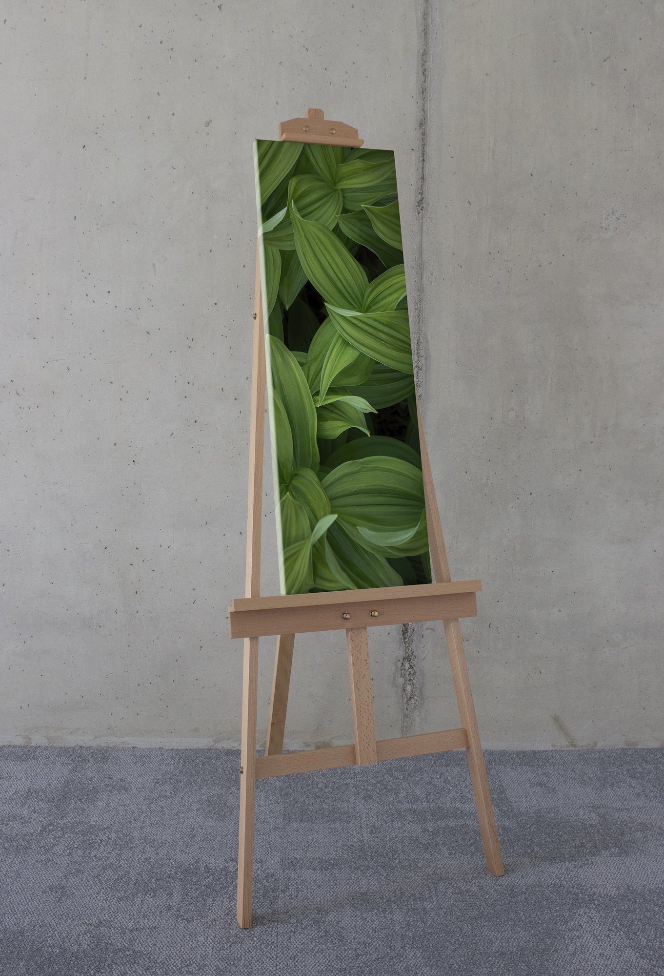 Komar Leinwandbild Ancilla - Größe 30 x 90 cm, Natur (1 St), Keilrahmenbild günstig online kaufen