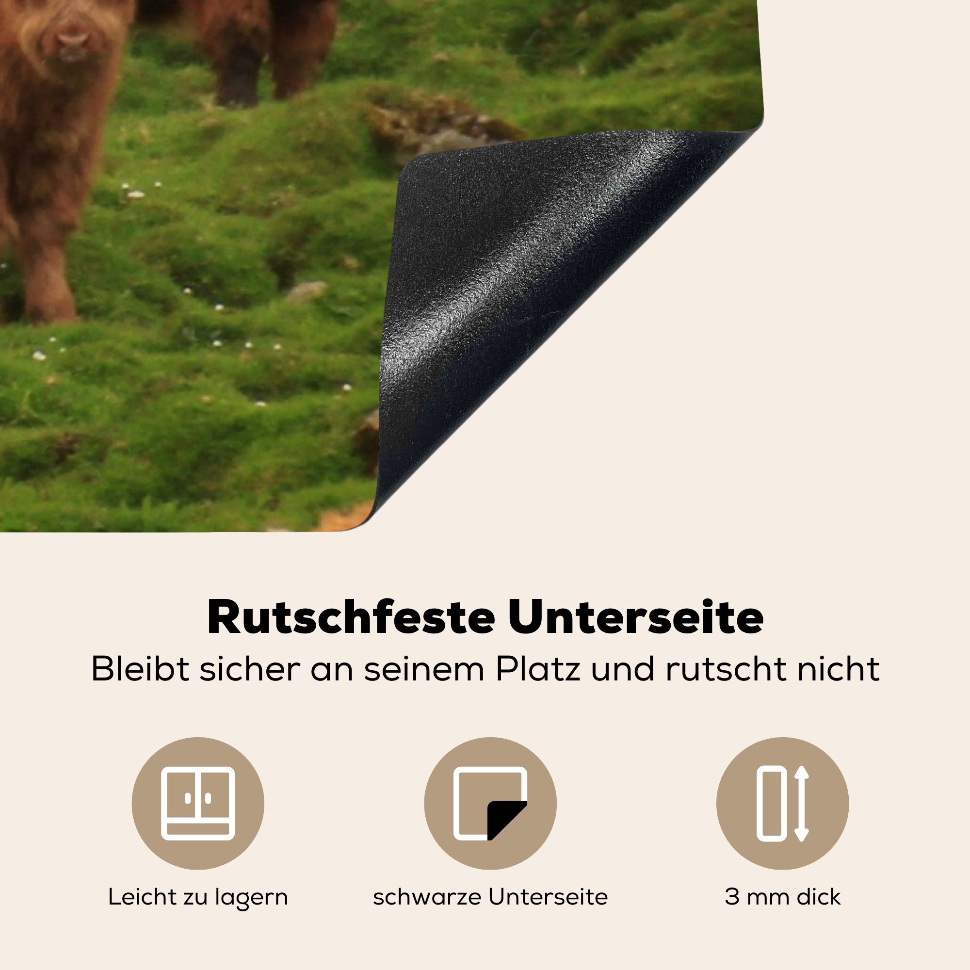MuchoWow Herdblende-/Abdeckplatte Schottische Highlander-Familie, (1 tlg), cm, 78x78 Arbeitsplatte Ceranfeldabdeckung, für Vinyl, küche