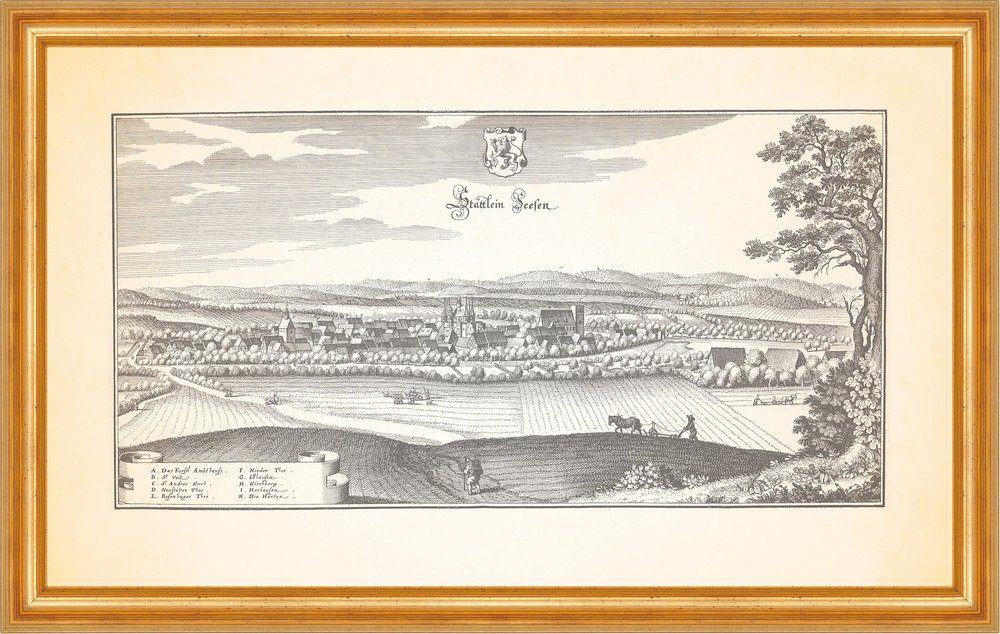 Kunstdruck Stättlein Seesen Amtshaus Harz Pfarrkirche Neustätter Tor Merian 0533