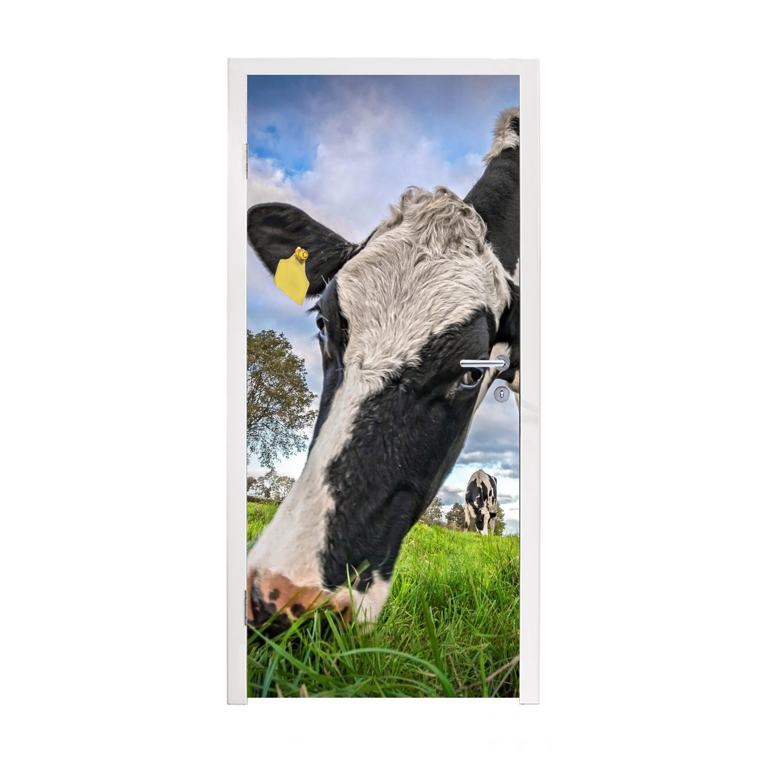 MuchoWow Türtapete Kuh - bedruckt, Tür, Matt, - St), 75x205 Türaufkleber, Fototapete cm für Natur, - (1 Bauernhof Gras