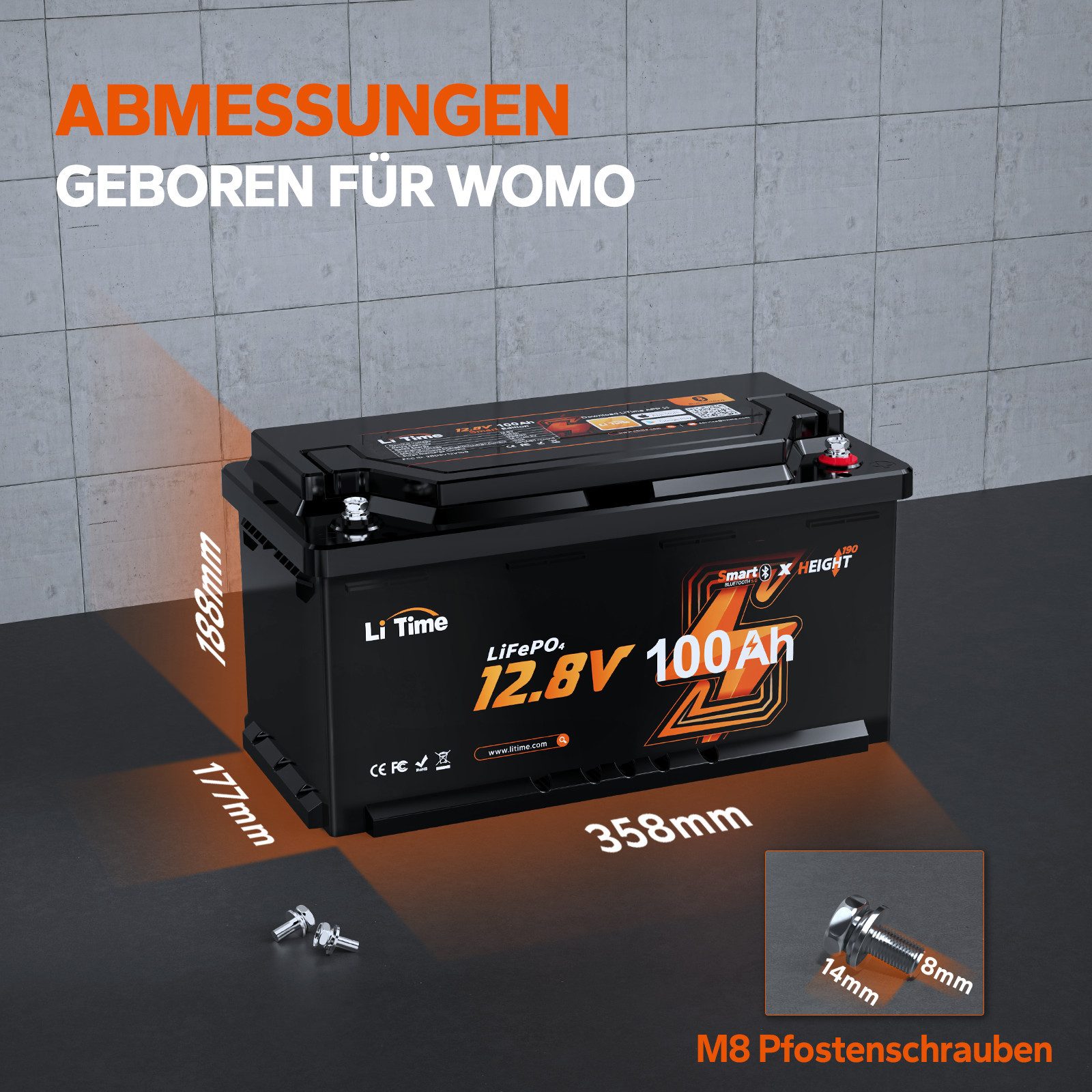 LiTime LiTime 14.6V 20A Lithium Batterieladegerät Akku-Set (12 V, 1 St), Geeignet für LiTime 12V LiFePO4 Lithium Batterie
