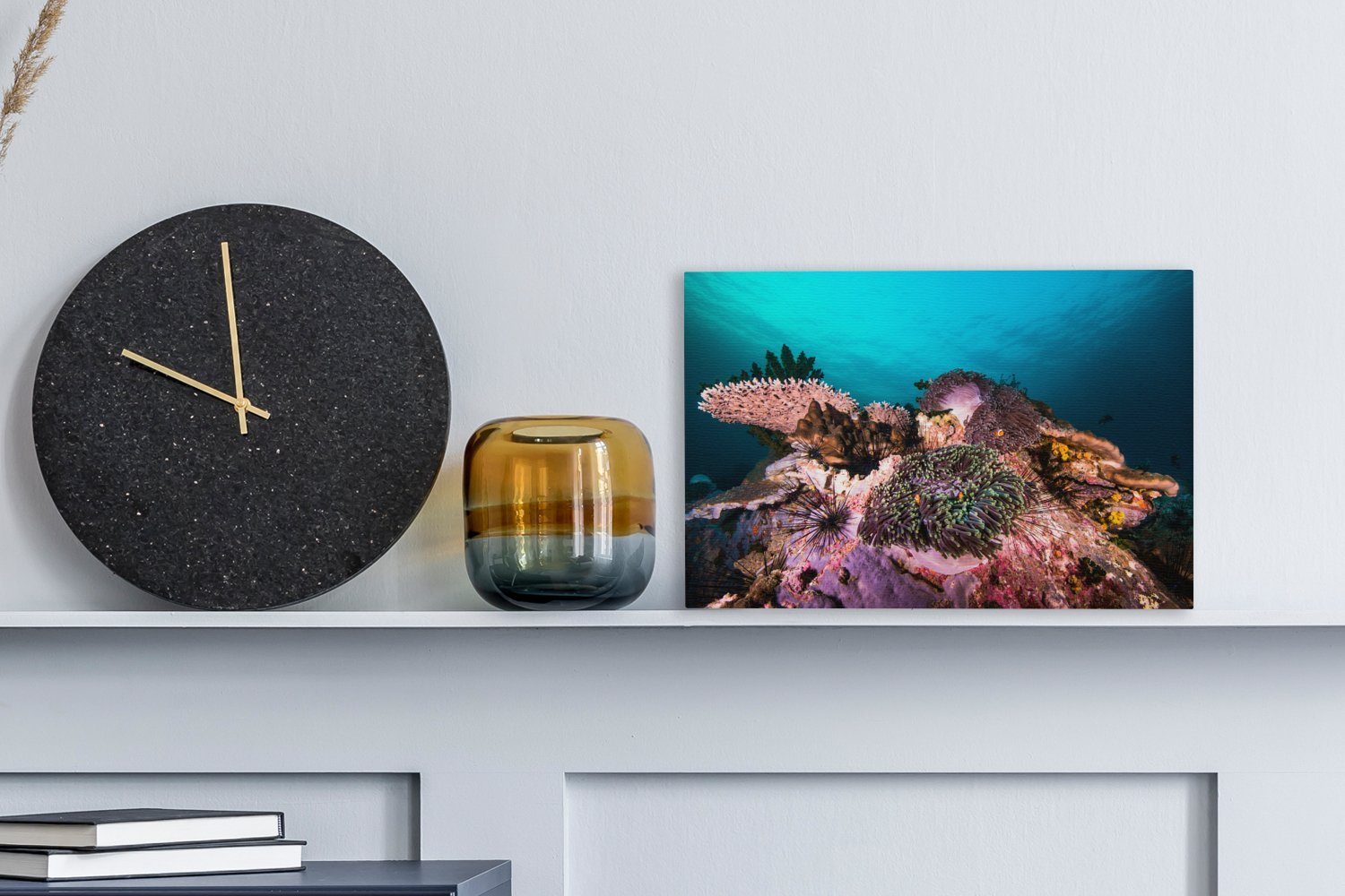 OneMillionCanvasses® Leinwandbild Bunte Korallen in einem Aufhängefertig, (1 Wandbild Wanddeko, cm Leinwandbilder, Meer, 30x20 St), dunklen