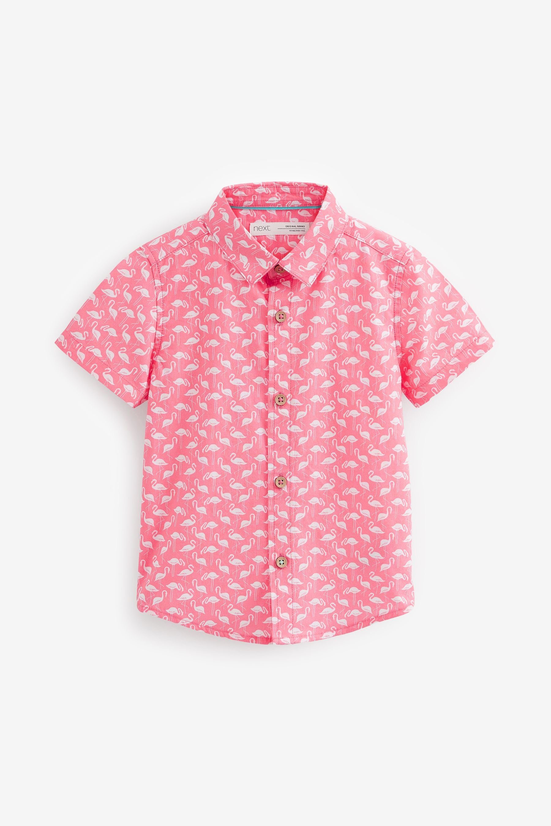 Next Kurzarmhemd Kurzärmliges, Flamingo bedrucktes Pink (1-tlg) Hemd