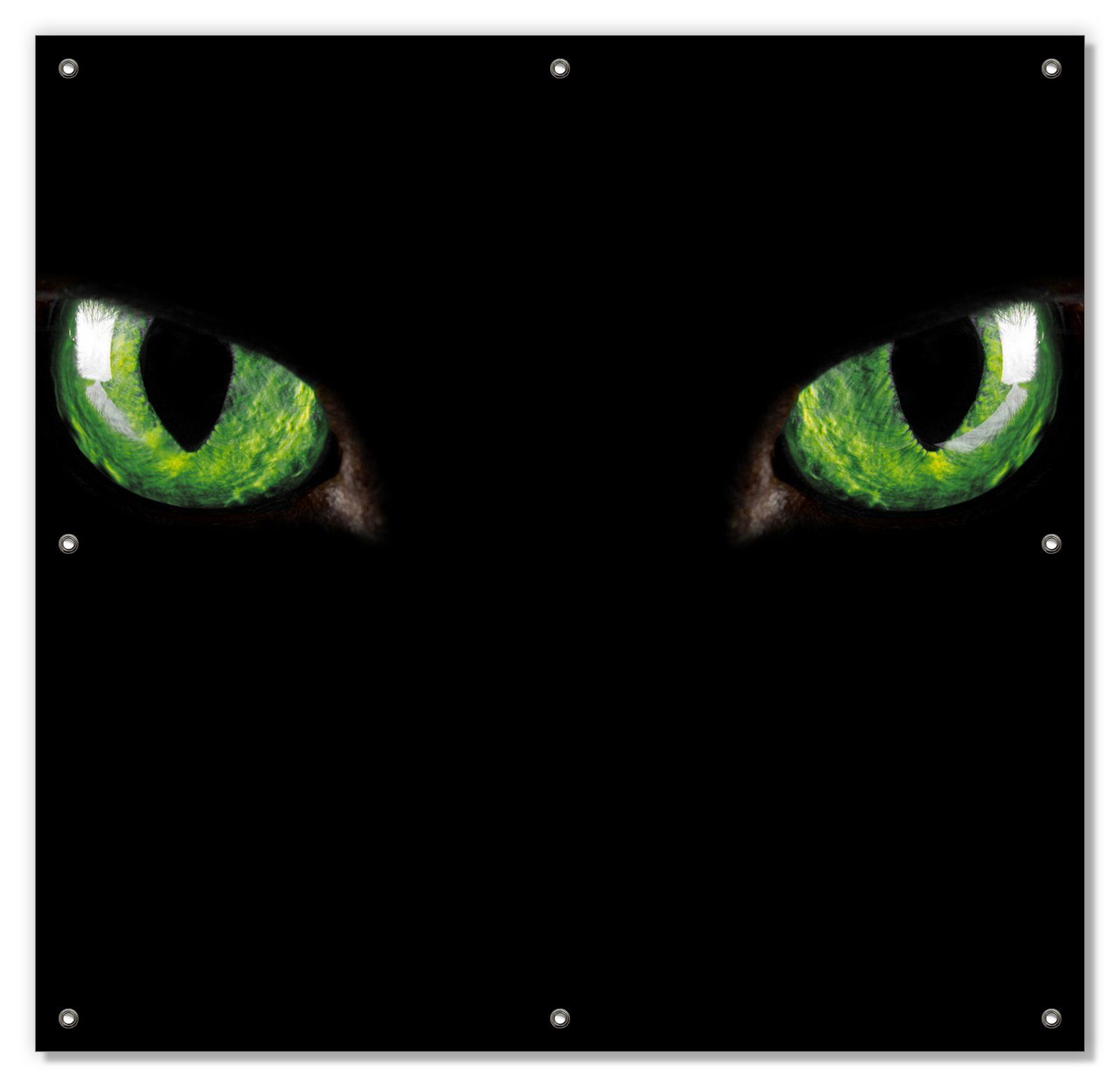 Sonnenschutz Grüne Katzenaugen bei Nacht, Wallario, blickdicht, mit Saugnäpfen, wiederablösbar und wiederverwendbar