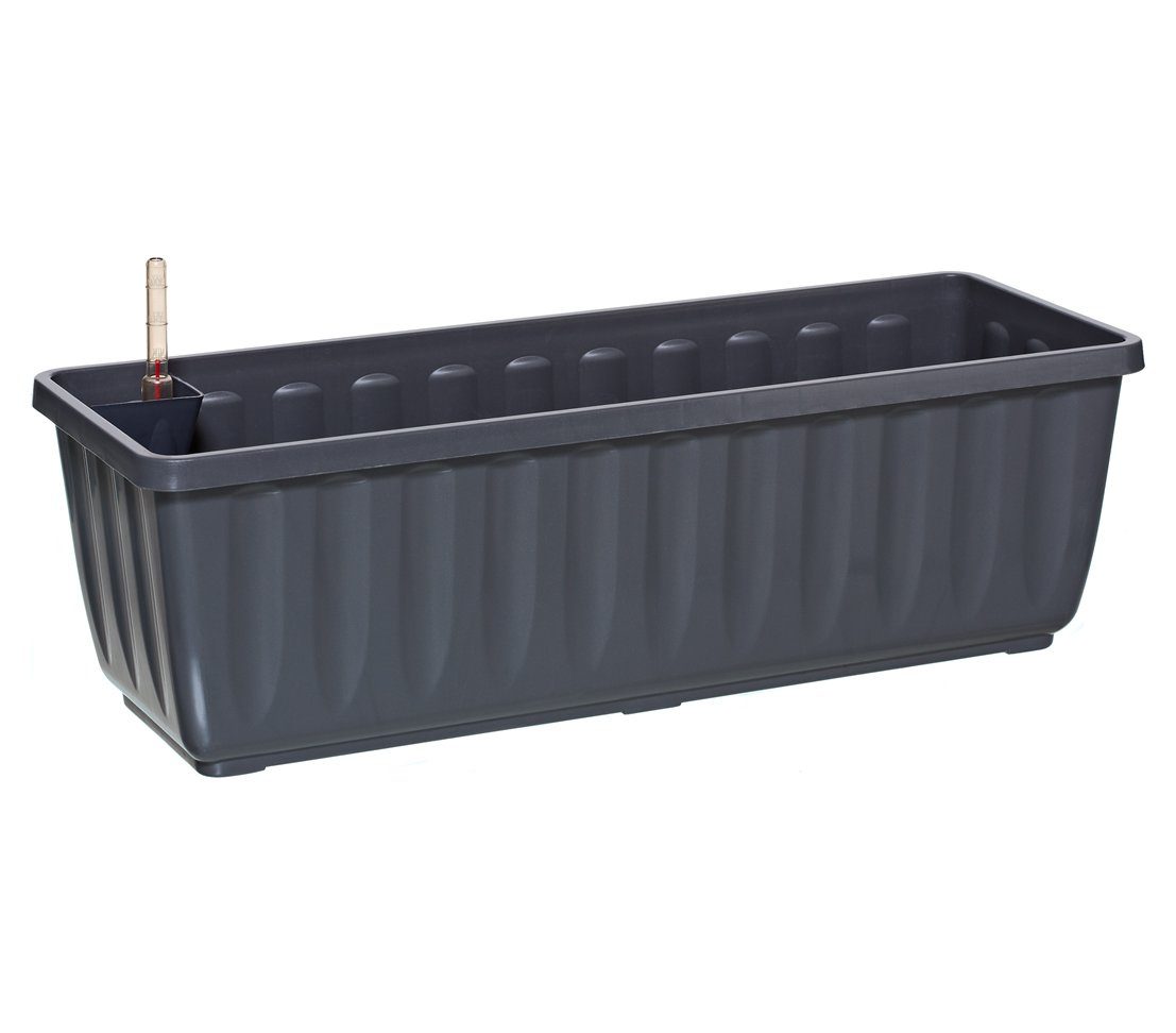 Dehner Blumenkasten Aqua-Flor Plus mit Bewässerungssystem, günstig online kaufen
