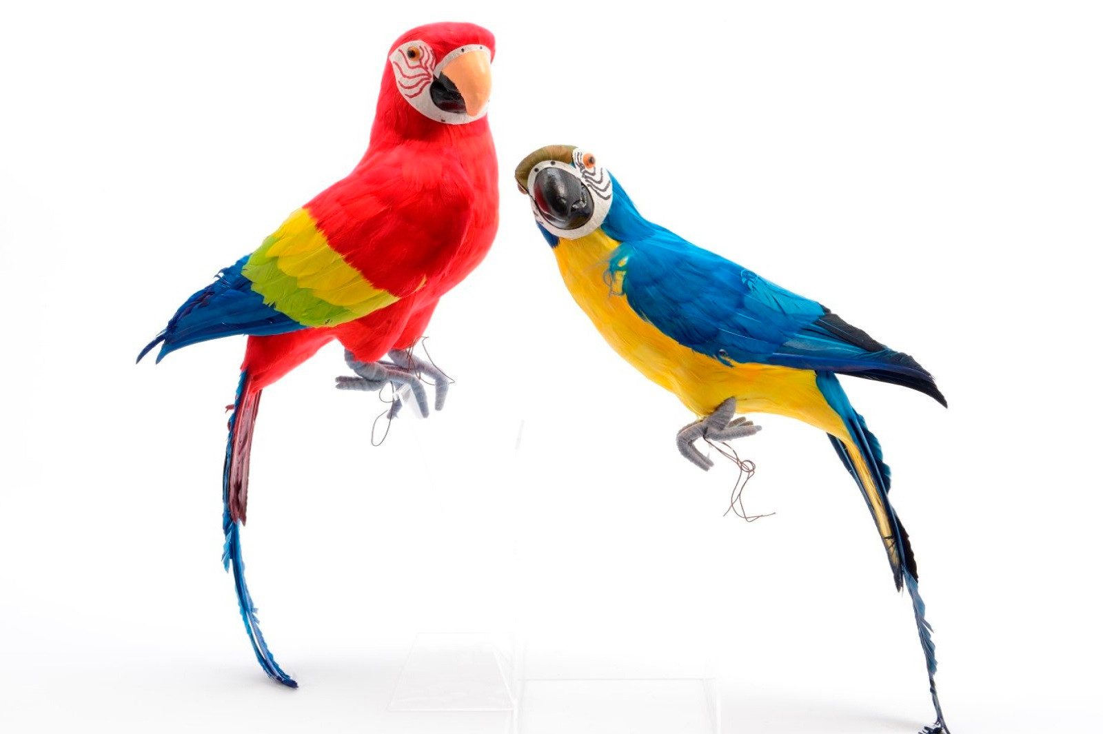 Kaemingk Tierfigur Federpapagei Draht Dekovogel Papagei rot oder blau H40 c günstig online kaufen