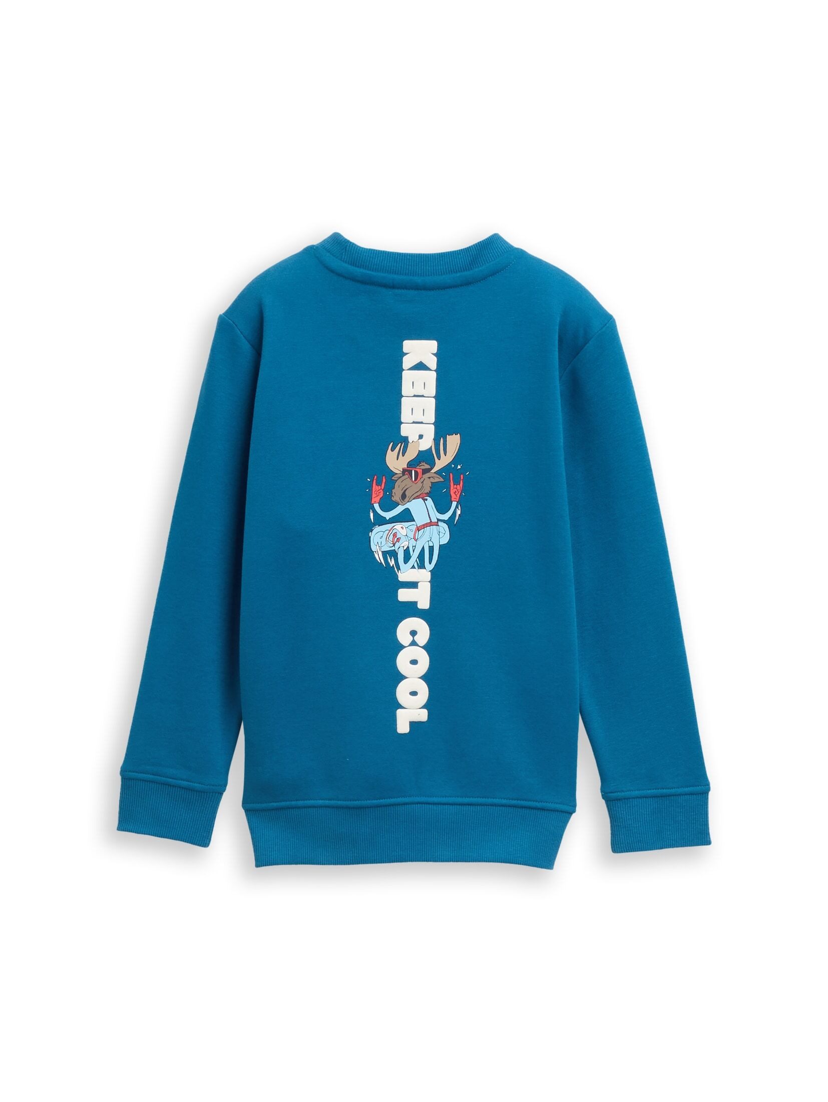 TOM TAILOR Sweatshirt Strick & Sweatshirts Basic Sweatshirt mit Rückenprint