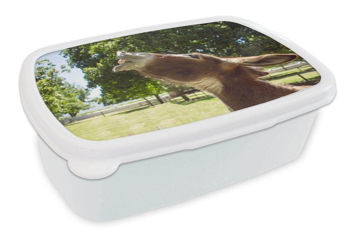MuchoWow Lunchbox Esel lachend, Kunststoff, (2-tlg), Brotbox für Kinder und Erwachsene, Brotdose, für Jungs und Mädchen weiß