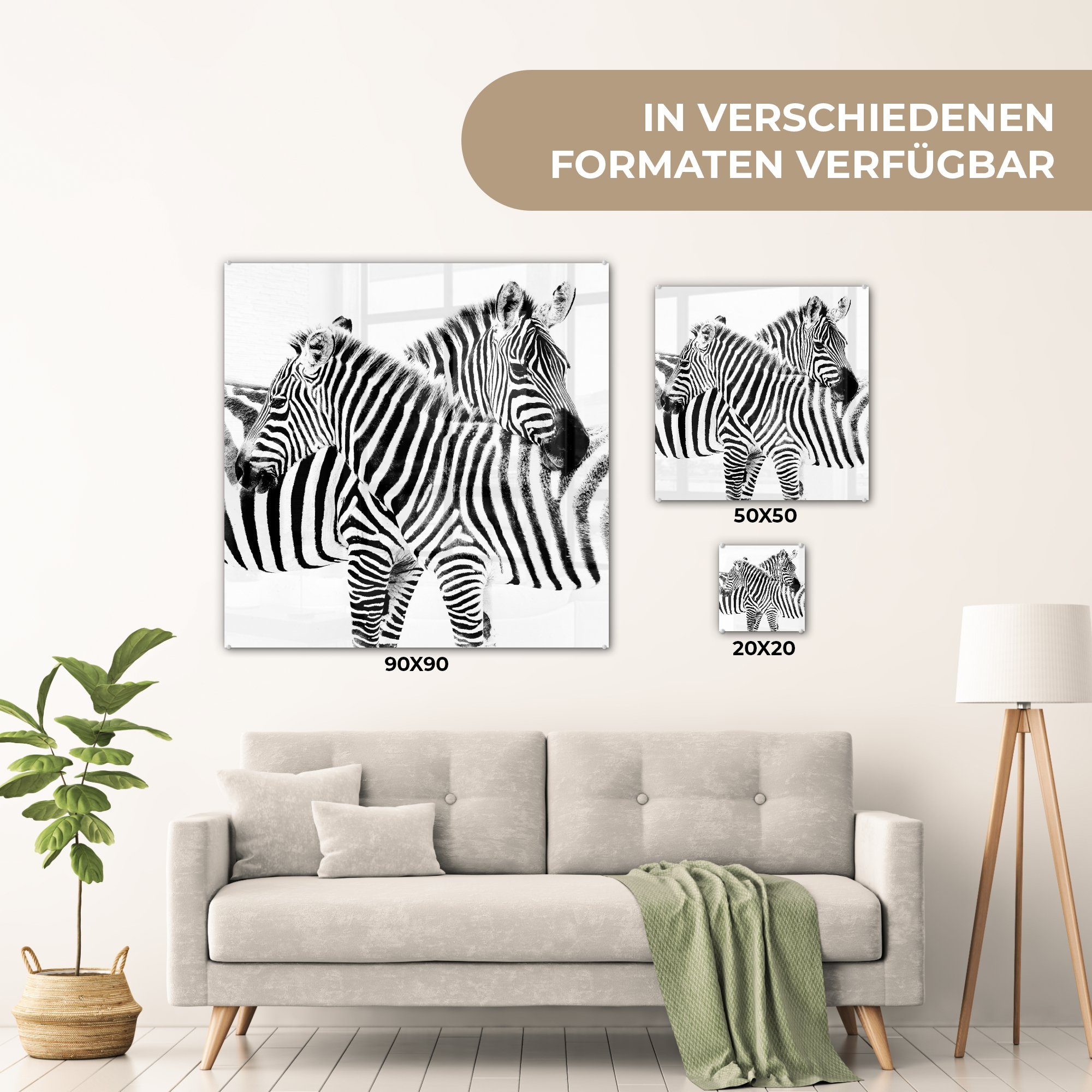 MuchoWow Acrylglasbild Zwei (1 - Glas Wanddekoration Zebras auf Hintergrund, Foto Glas - Bilder Wandbild - weißem auf St), Glasbilder auf