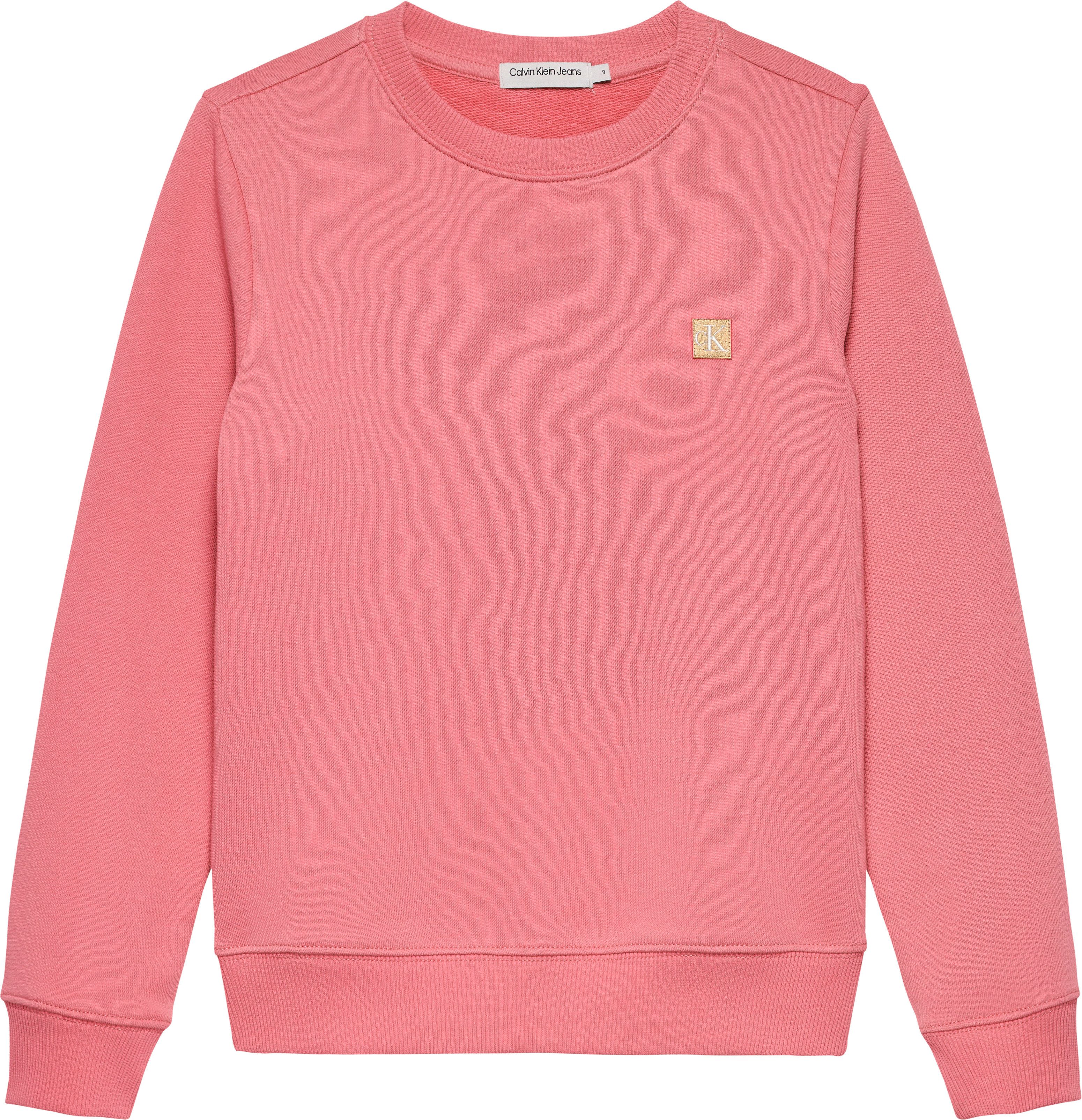 Sweatshirt MONO MINI BADGE REG CN