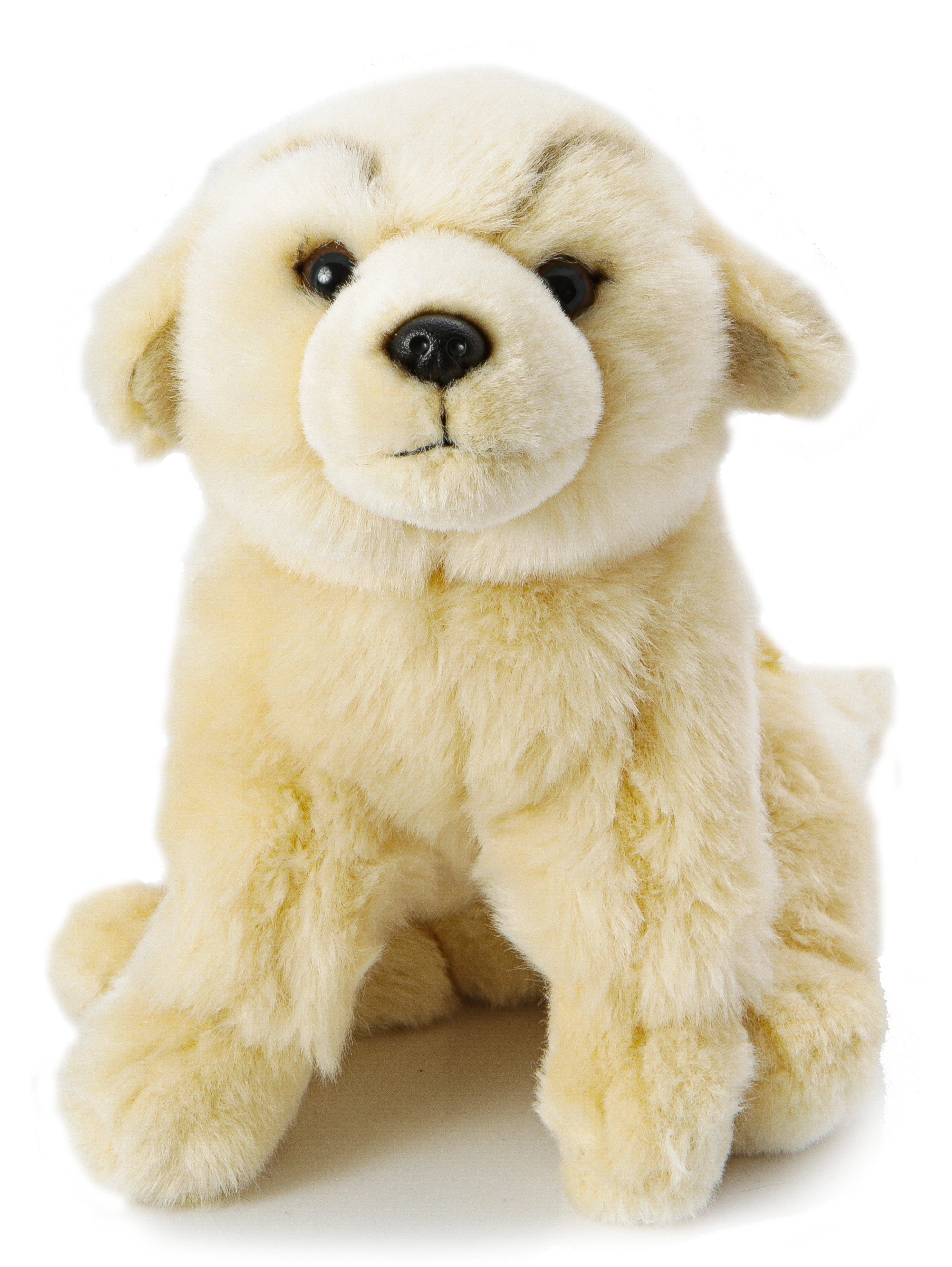 Uni-Toys Kuscheltier Golden Retriever Welpe, - Plüsch-Hund, zu Füllmaterial m./o. Plüschtier, cm % 100 - recyceltes Leine 19