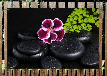 Wallario Sichtschutzzaunmatten Geranienblüte auf schwarzen Steinen, benetzt mit Wassertropfen