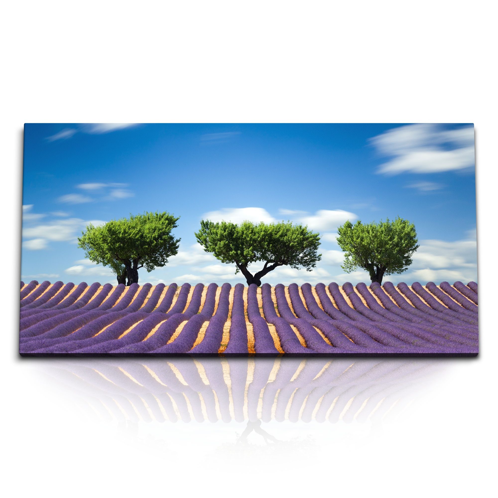 Sinus Art Leinwandbild Kunstdruck Bilder 120x60cm Lavendelfeld Lavendel Bäume Landschaft blau, (1 St)