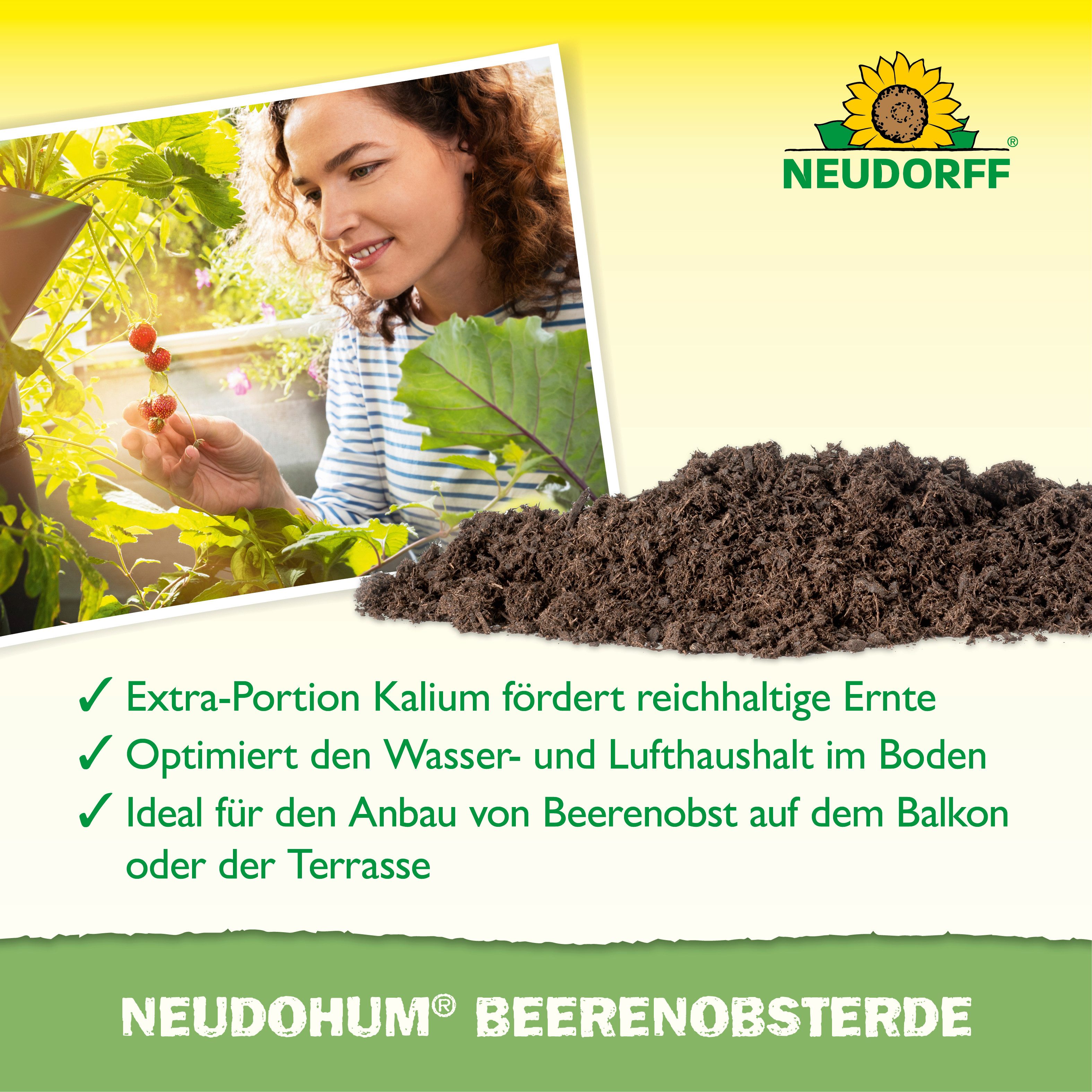Neudorff Pflanzerde NeudoHum BeerenobstErde 20 Liter, mit Organische Grunddüngung, (Einzelartikel, Für leckere Beeren, unterstützt eine gute Fruchtentwicklung), – Bild 4 von 5
