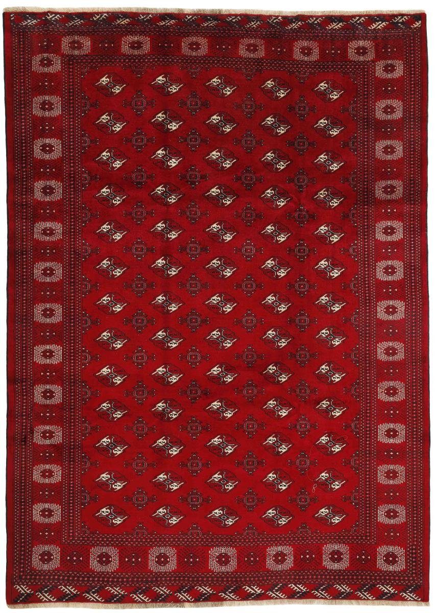 Orientteppich Turkaman 248x342 Handgeknüpfter Orientteppich / Perserteppich, Nain Trading, rechteckig, Höhe: 6 mm