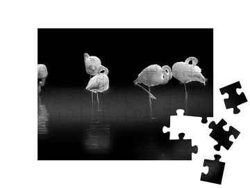 puzzleYOU Puzzle Schlafende Flamingos im Wasser, schwarz-weiß, 48 Puzzleteile, puzzleYOU-Kollektionen Fotokunst