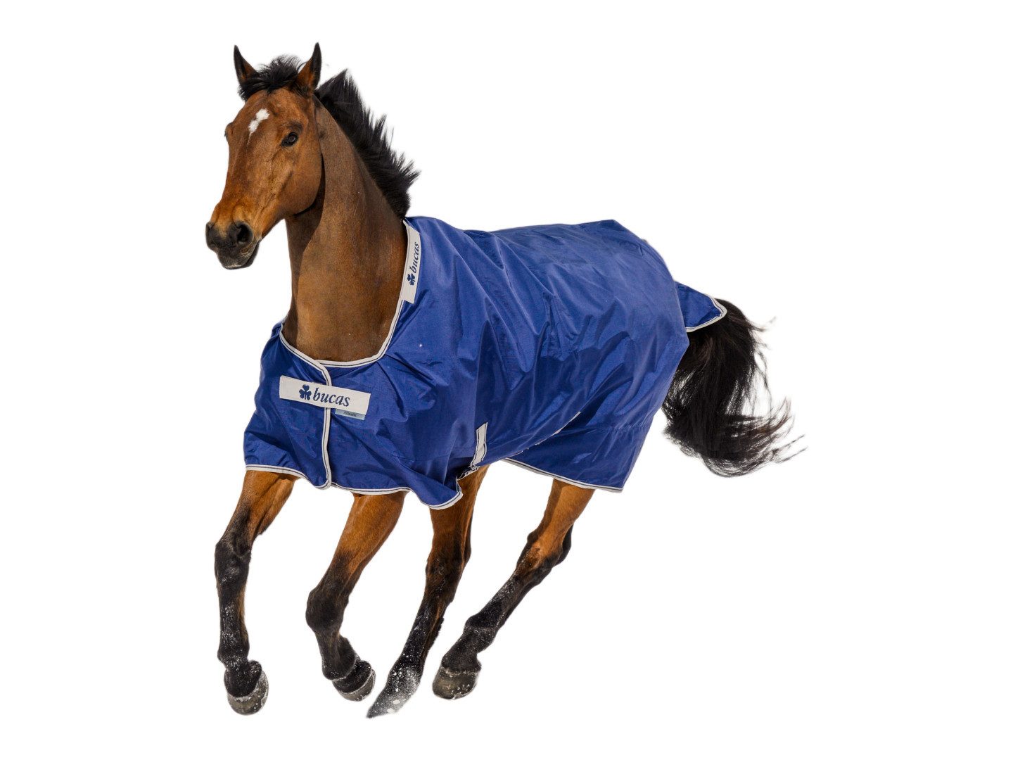 Bucas Ausreitdecke Outdoordecke Atlantic Turnout 200g in Navy