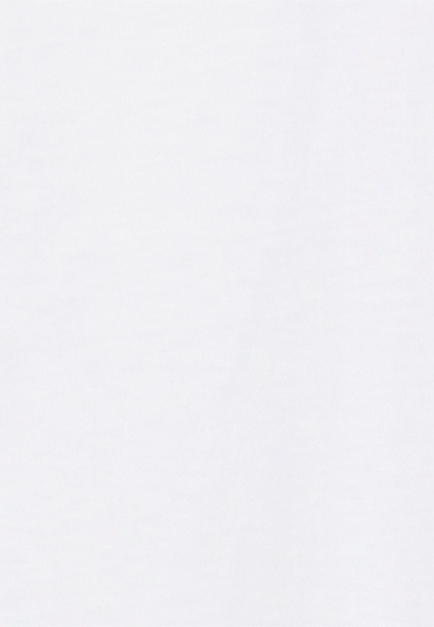 Sweatshirt Rose Weiß seidensticker Langarm Uni Schwarze