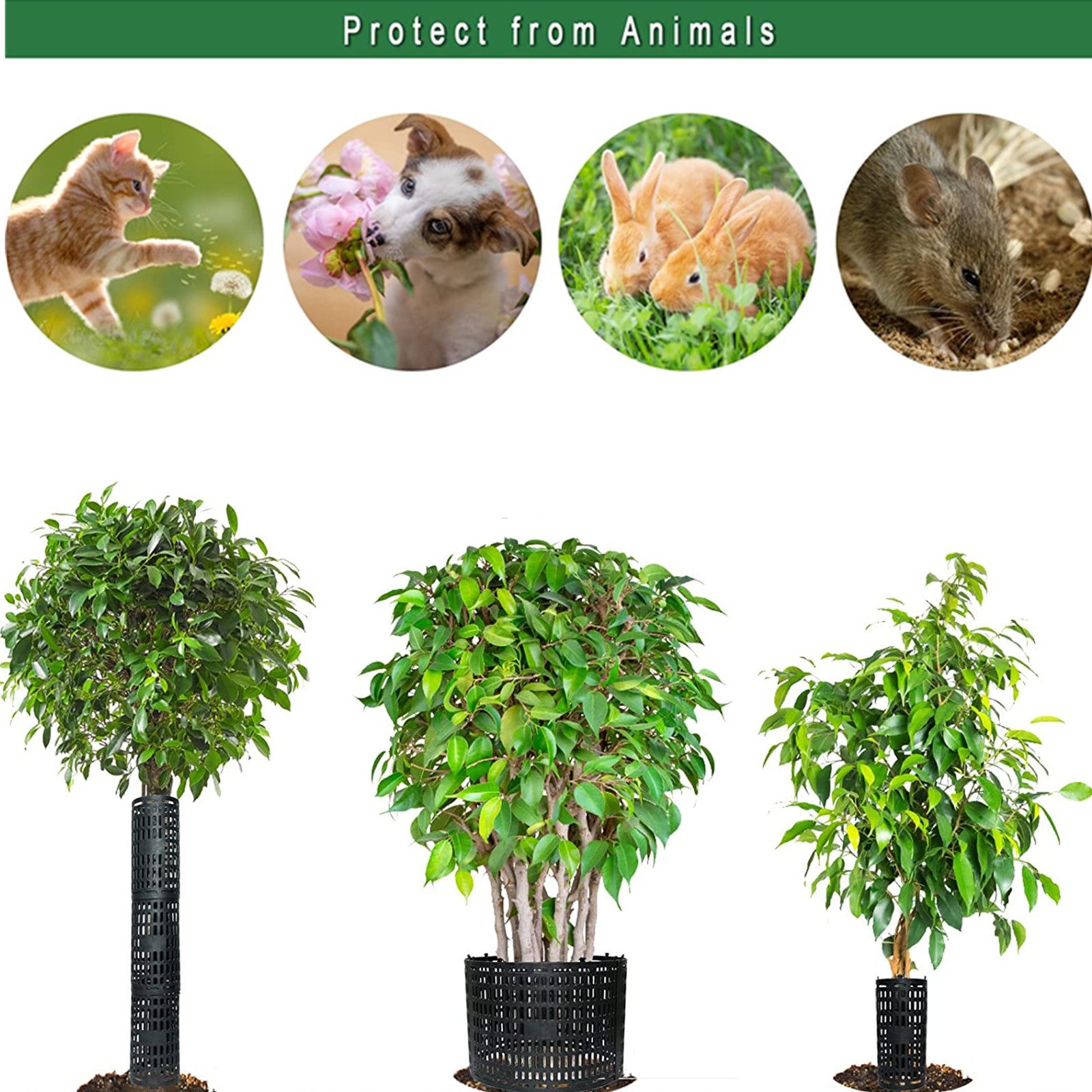 GarveeMore Gartenpflege-Set 10pcs Pflanze Stamm Protectors günstig online kaufen