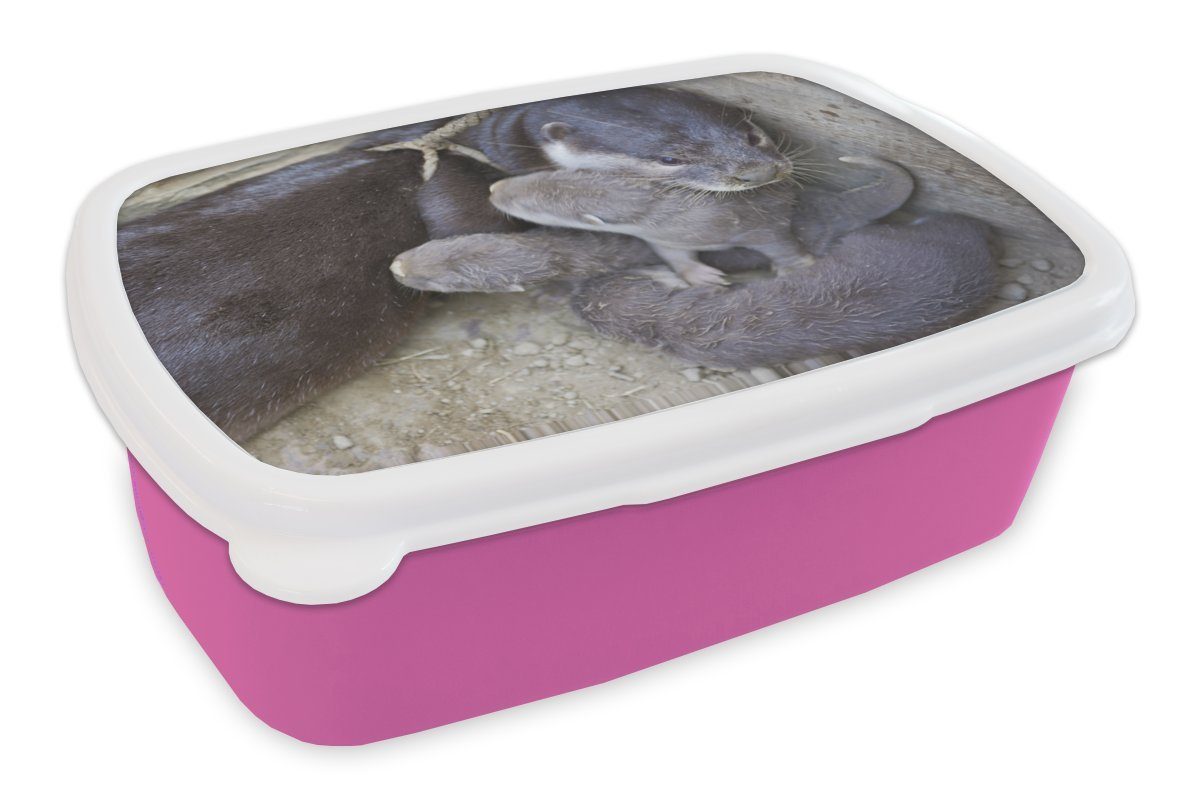 MuchoWow Lunchbox Otter mit Jungtieren, Kunststoff, (2-tlg), Brotbox für Erwachsene, Brotdose Kinder, Snackbox, Mädchen, Kunststoff rosa