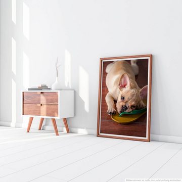 Sinus Art Poster 60x90cm Poster Tierfotografie  Süße Französische Bulldogge mit Flip Flop