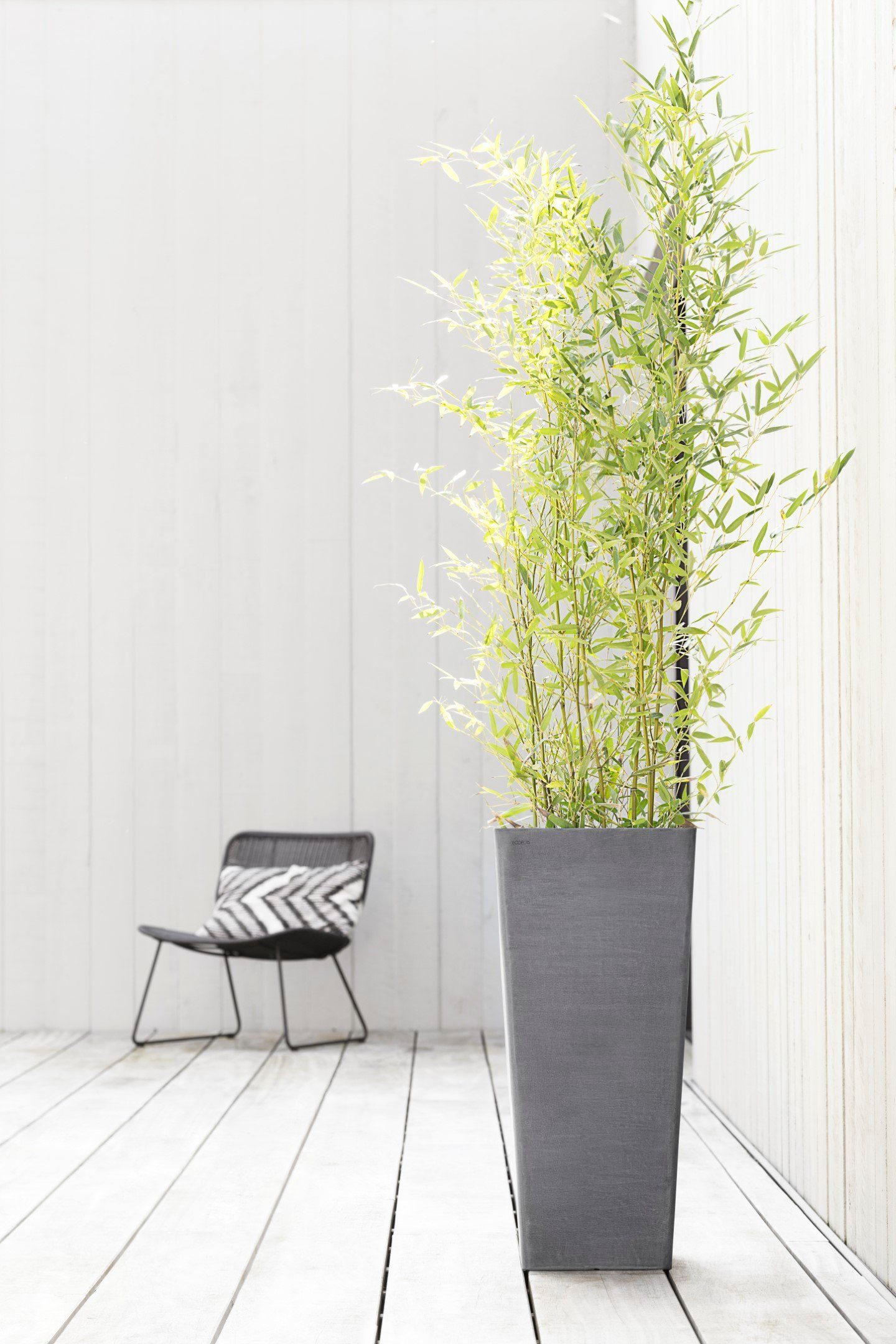 ECOPOTS Blumentopf ROTTERDAM HIGH Grey, BxTxH: 32x32x70 cm